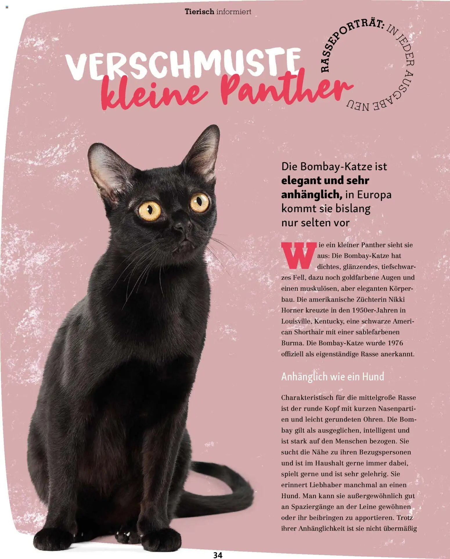 Fressnapf Friends Magazin (2025-11-01 - 2025-12-31)