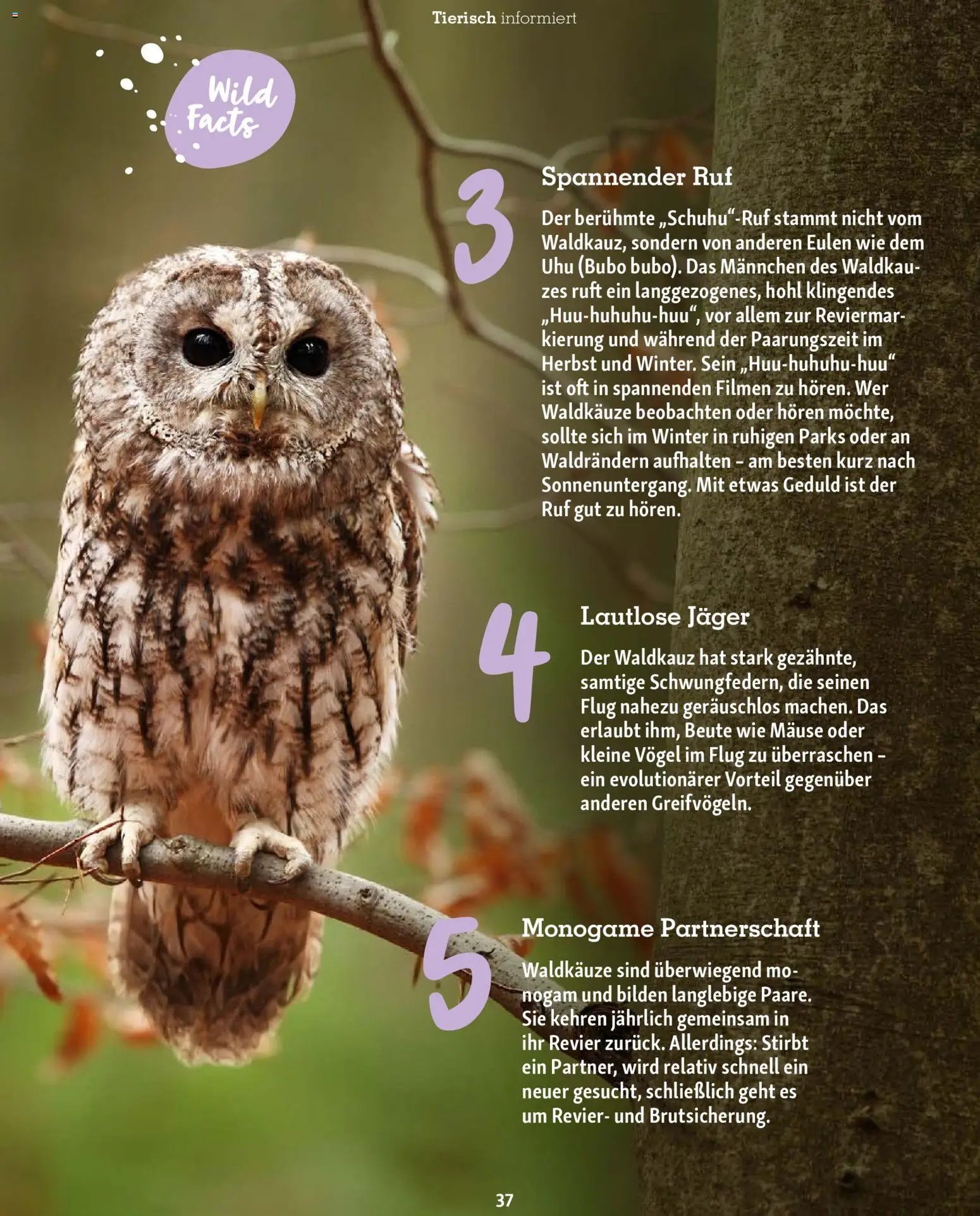 Fressnapf Friends Magazin (2025-11-01 - 2025-12-31)