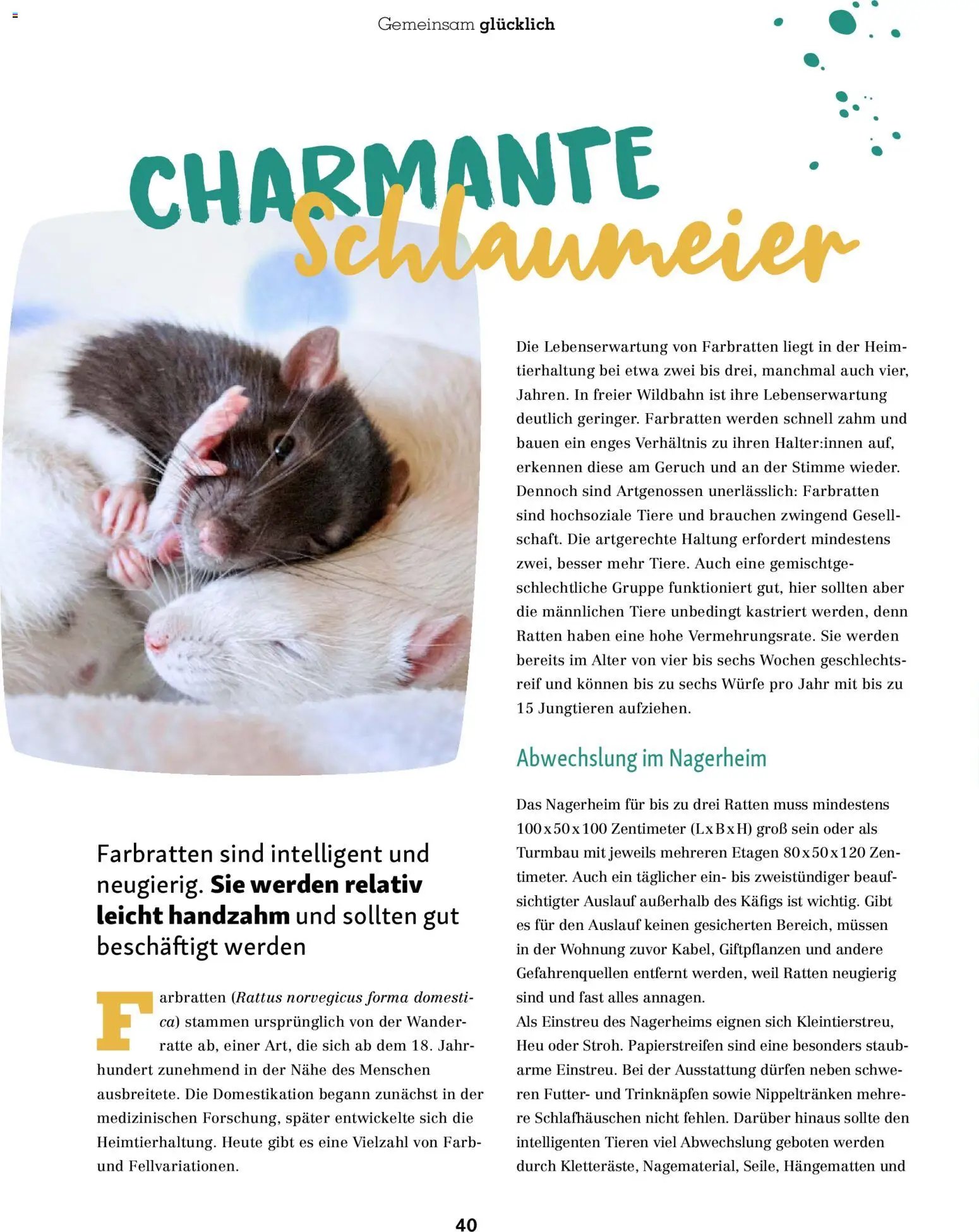 Fressnapf Friends Magazin (2025-11-01 - 2025-12-31)