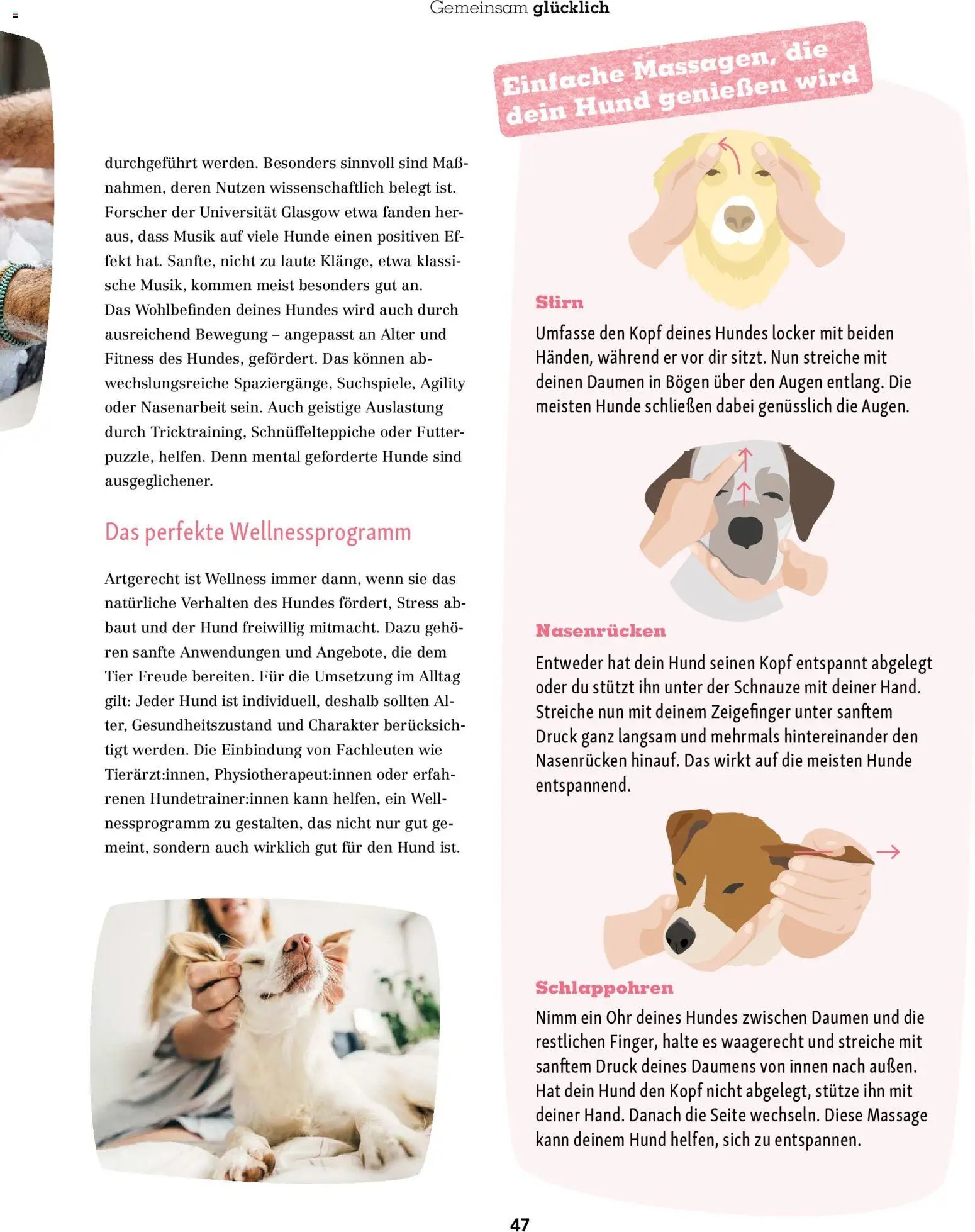 Fressnapf Friends Magazin (2025-11-01 - 2025-12-31)