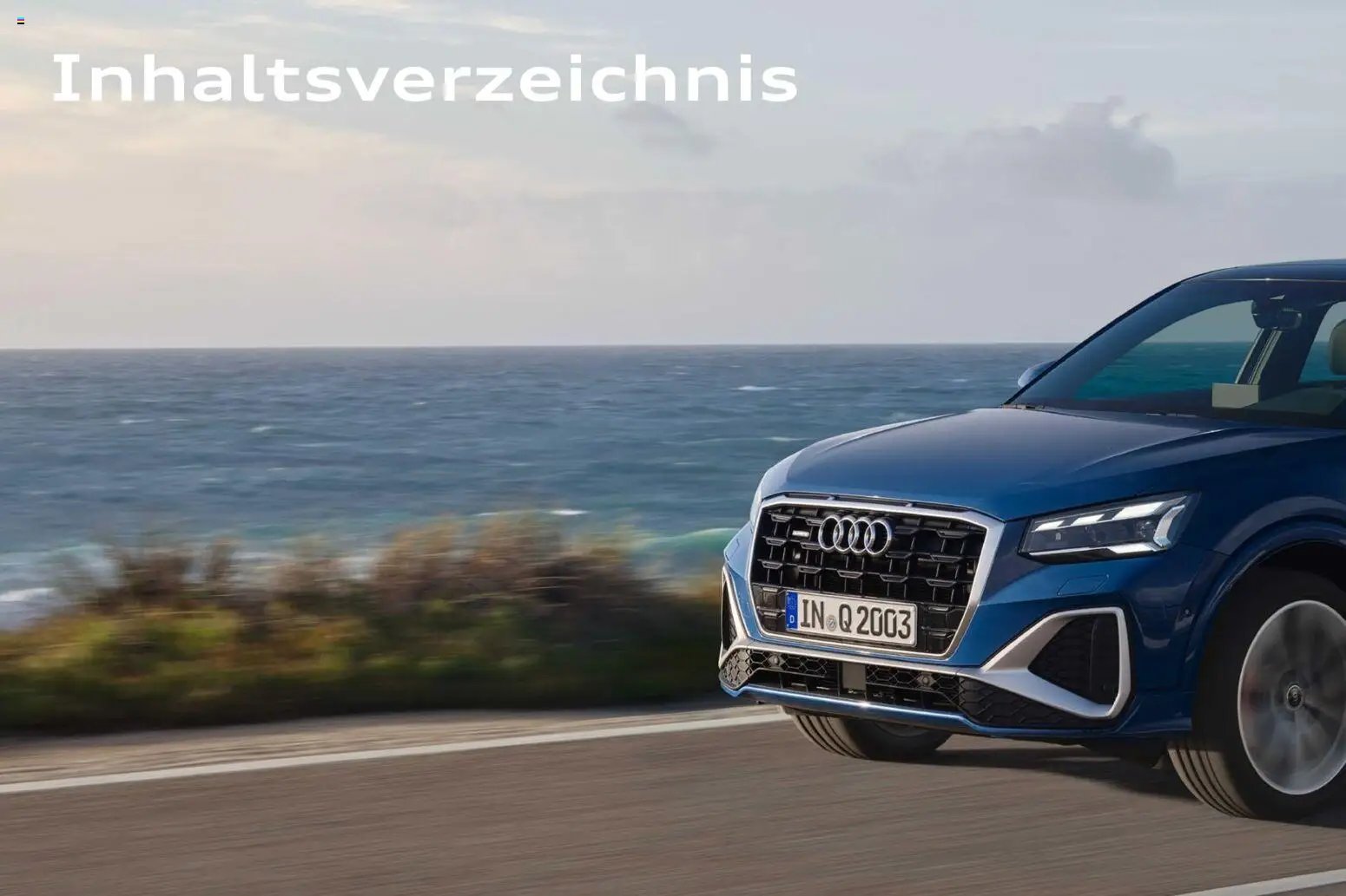 Audi Q2 / SQ2