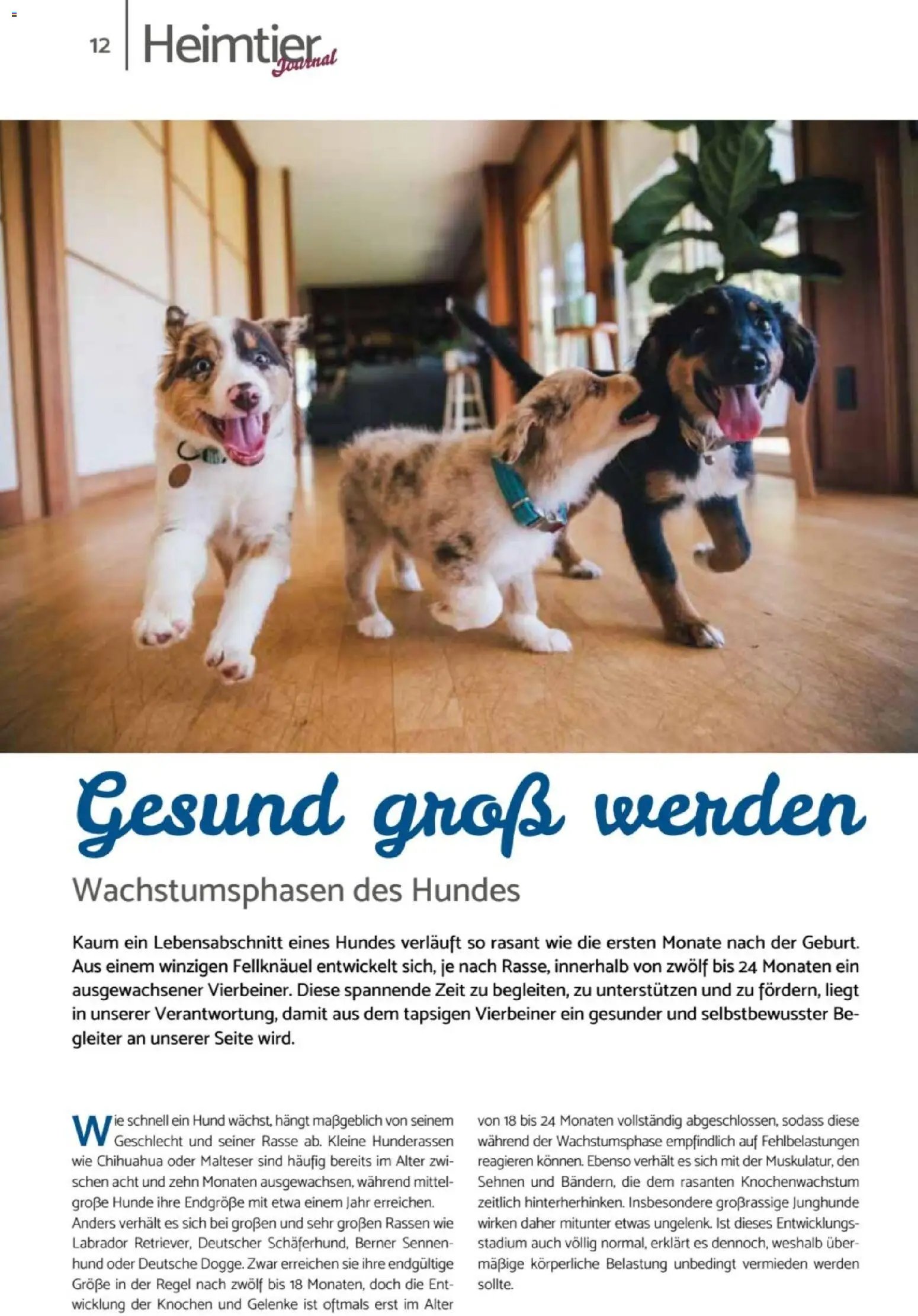 zookauf Heimtier Journal