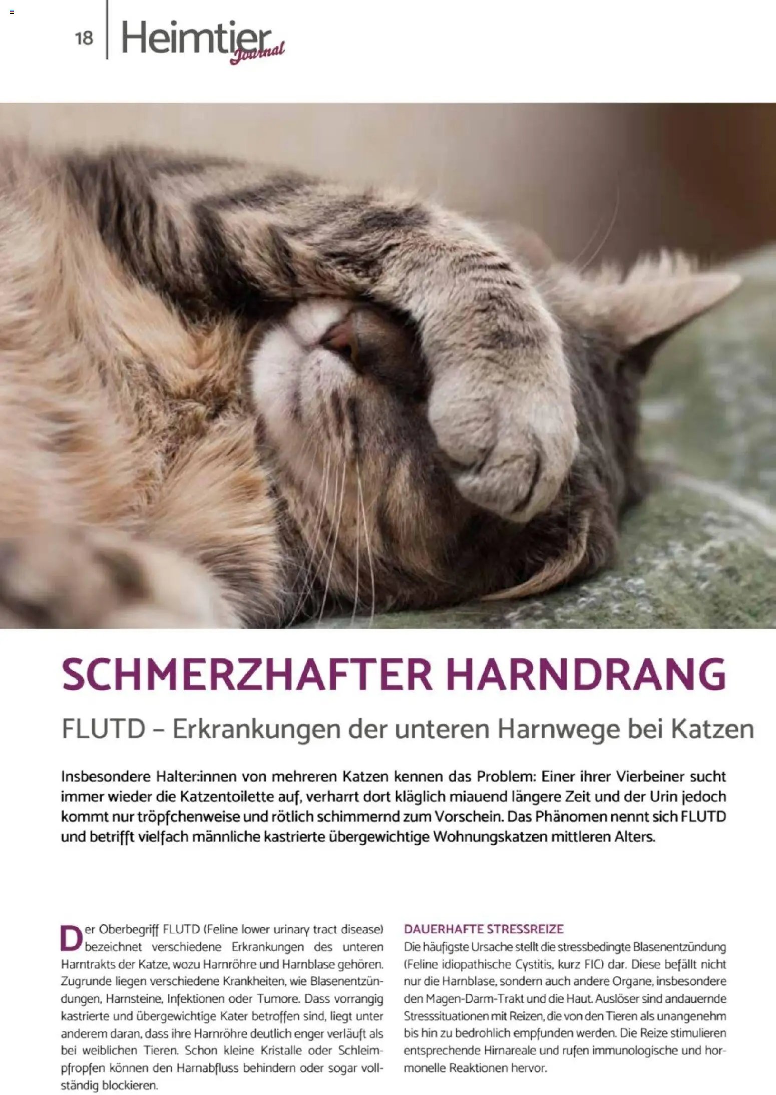 zookauf Heimtier Journal