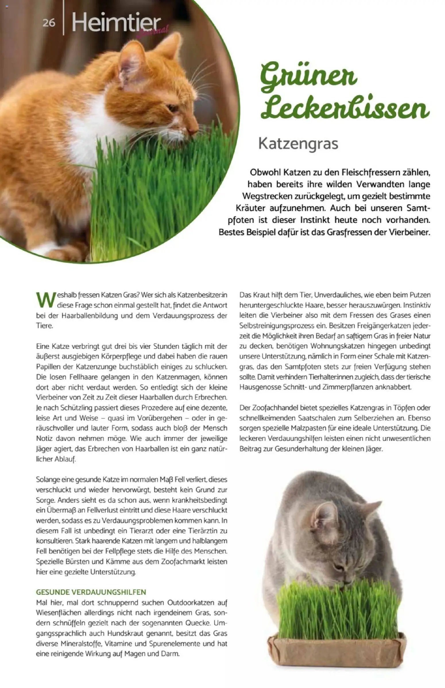zookauf Heimtier Journal