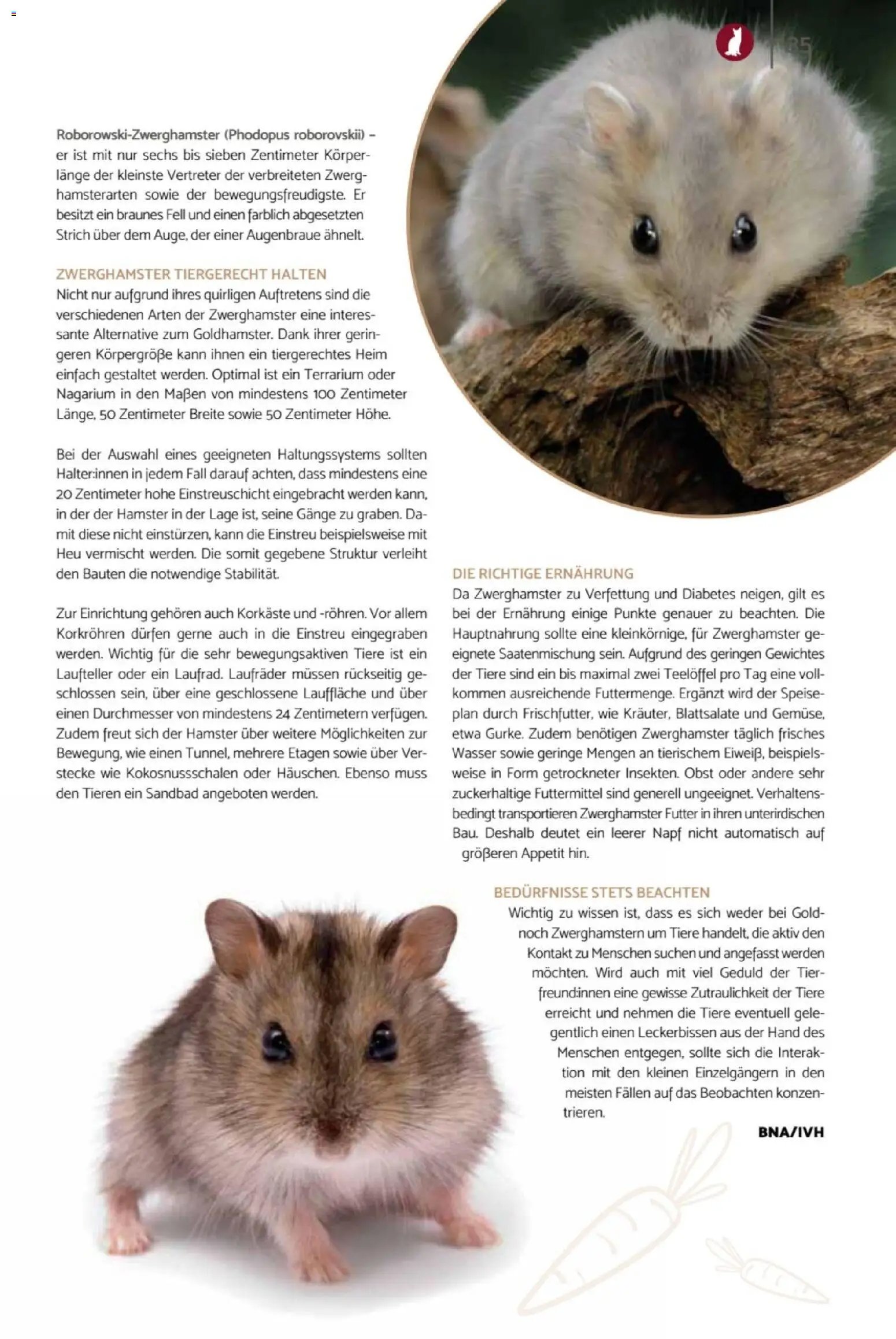 zookauf Heimtier Journal