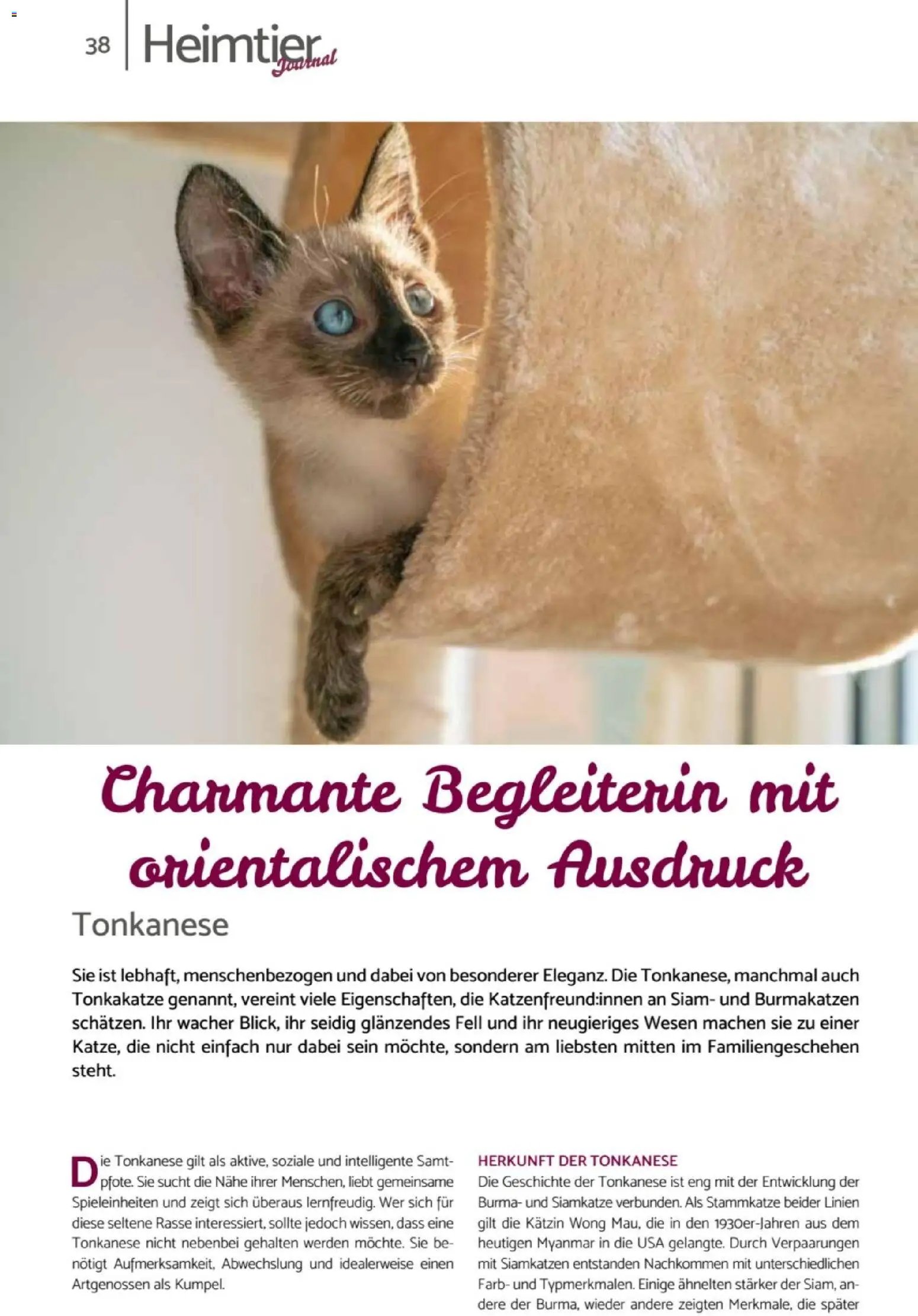 zookauf Heimtier Journal