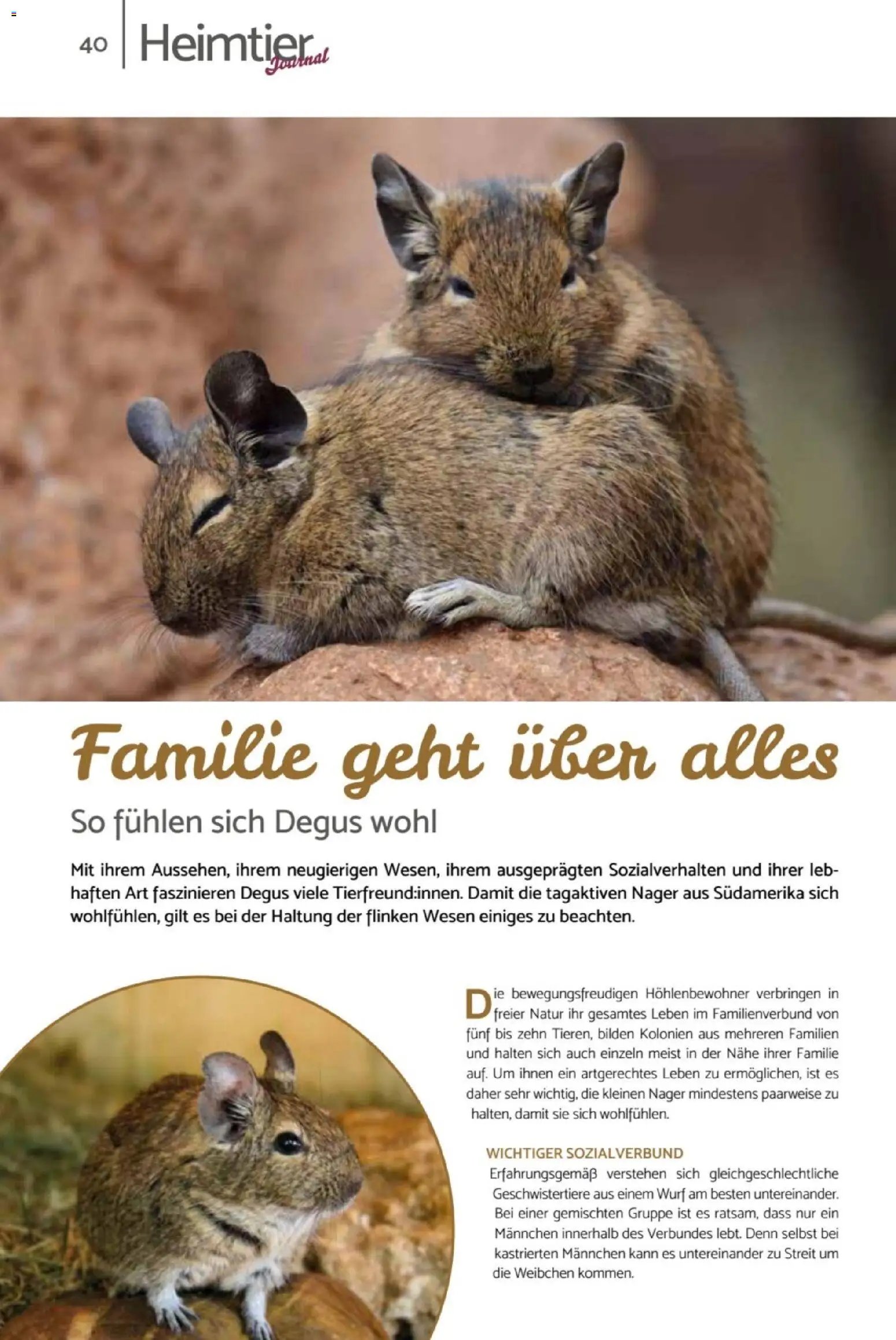 zookauf Heimtier Journal