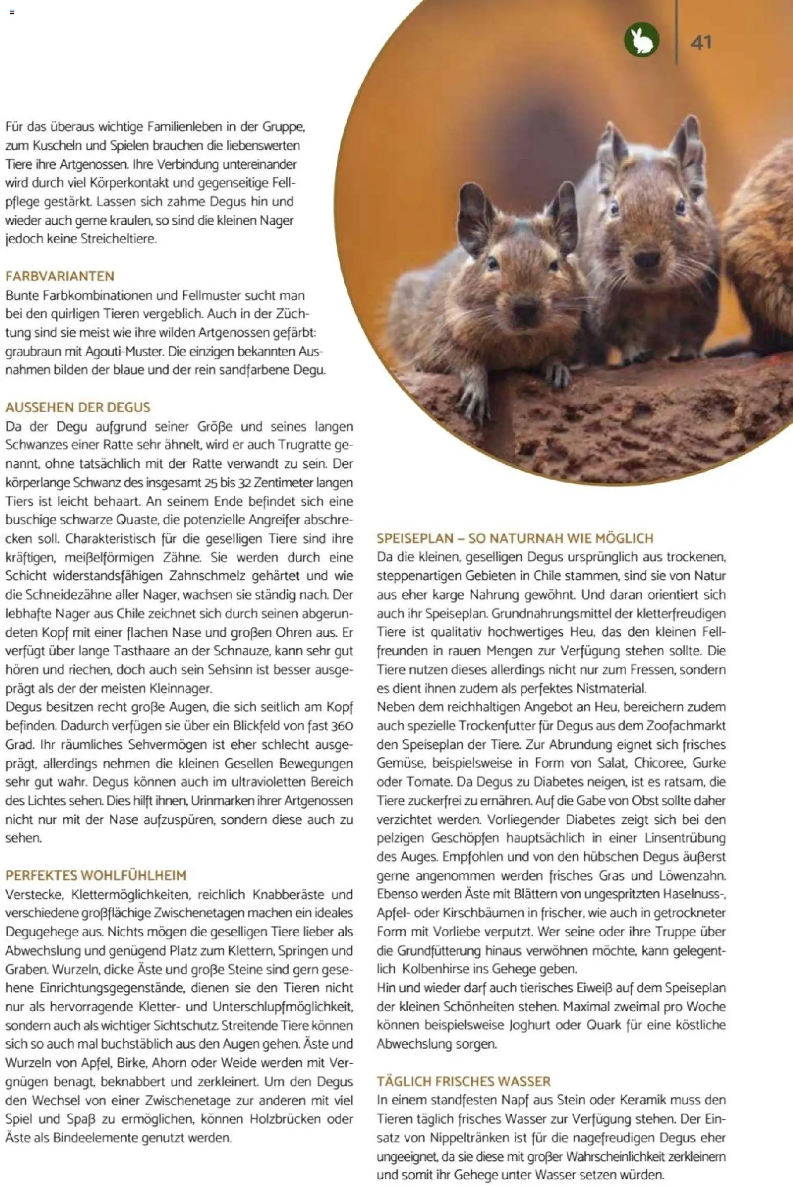 zookauf Heimtier Journal