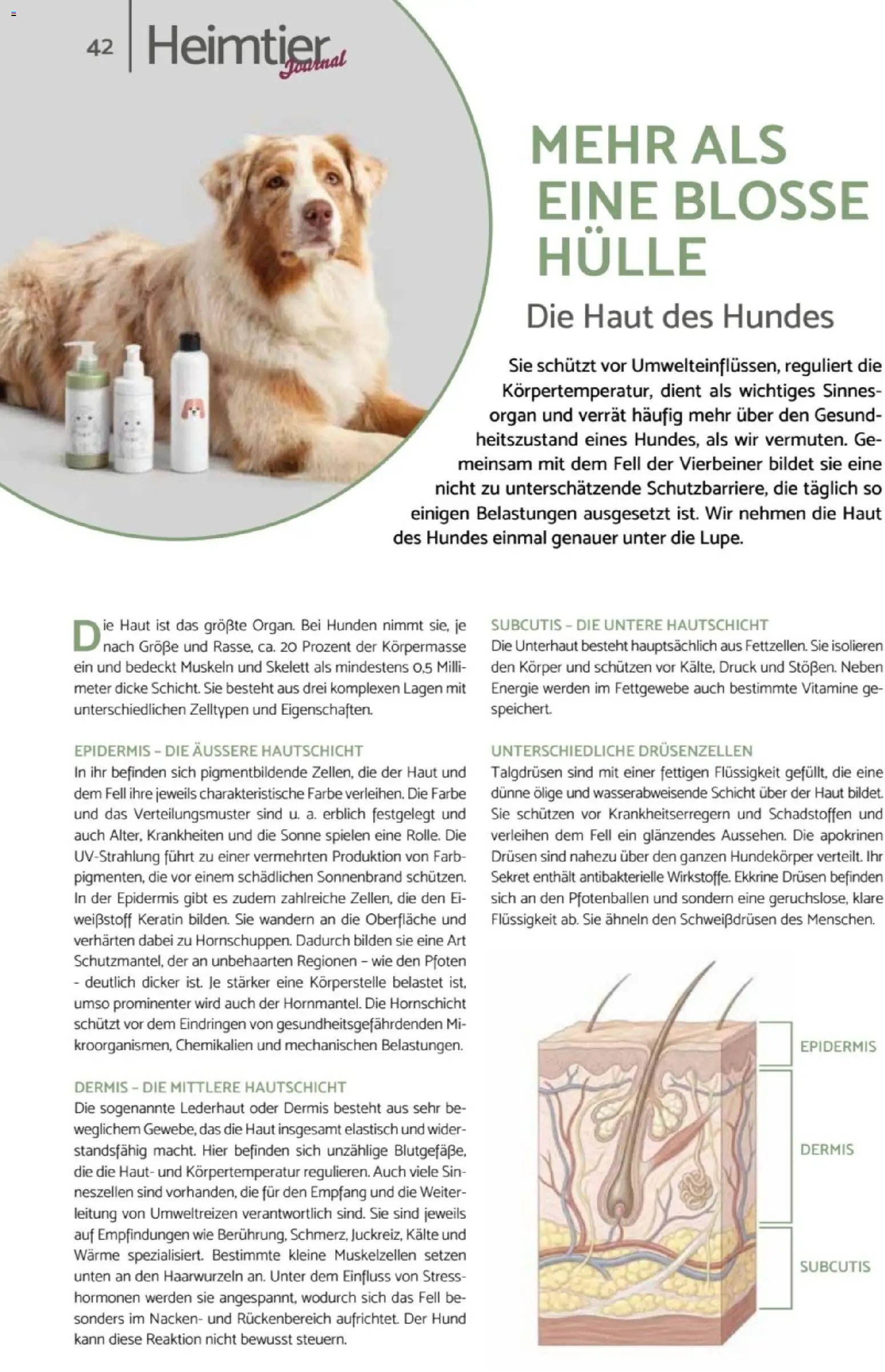 zookauf Heimtier Journal
