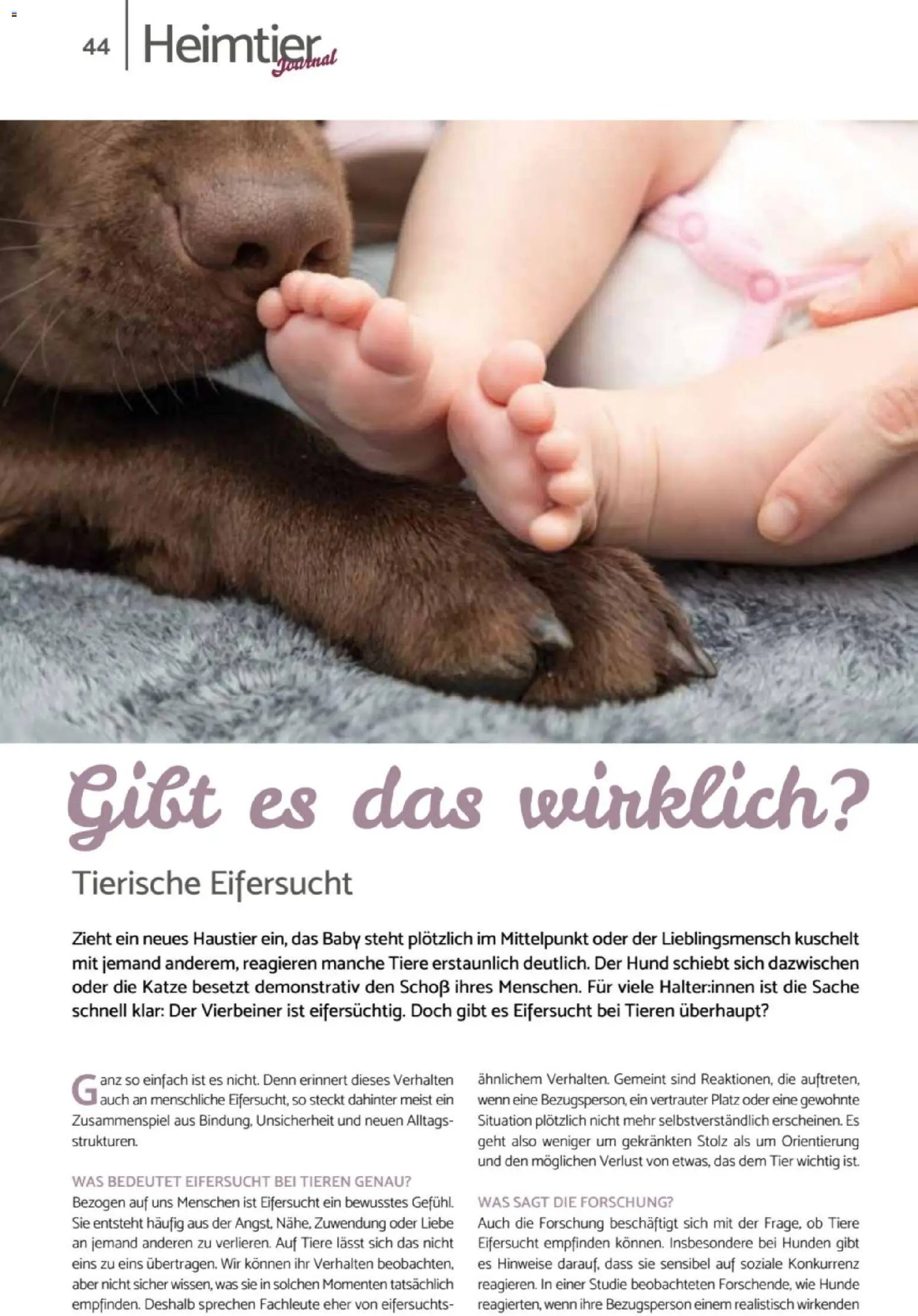 zookauf Heimtier Journal