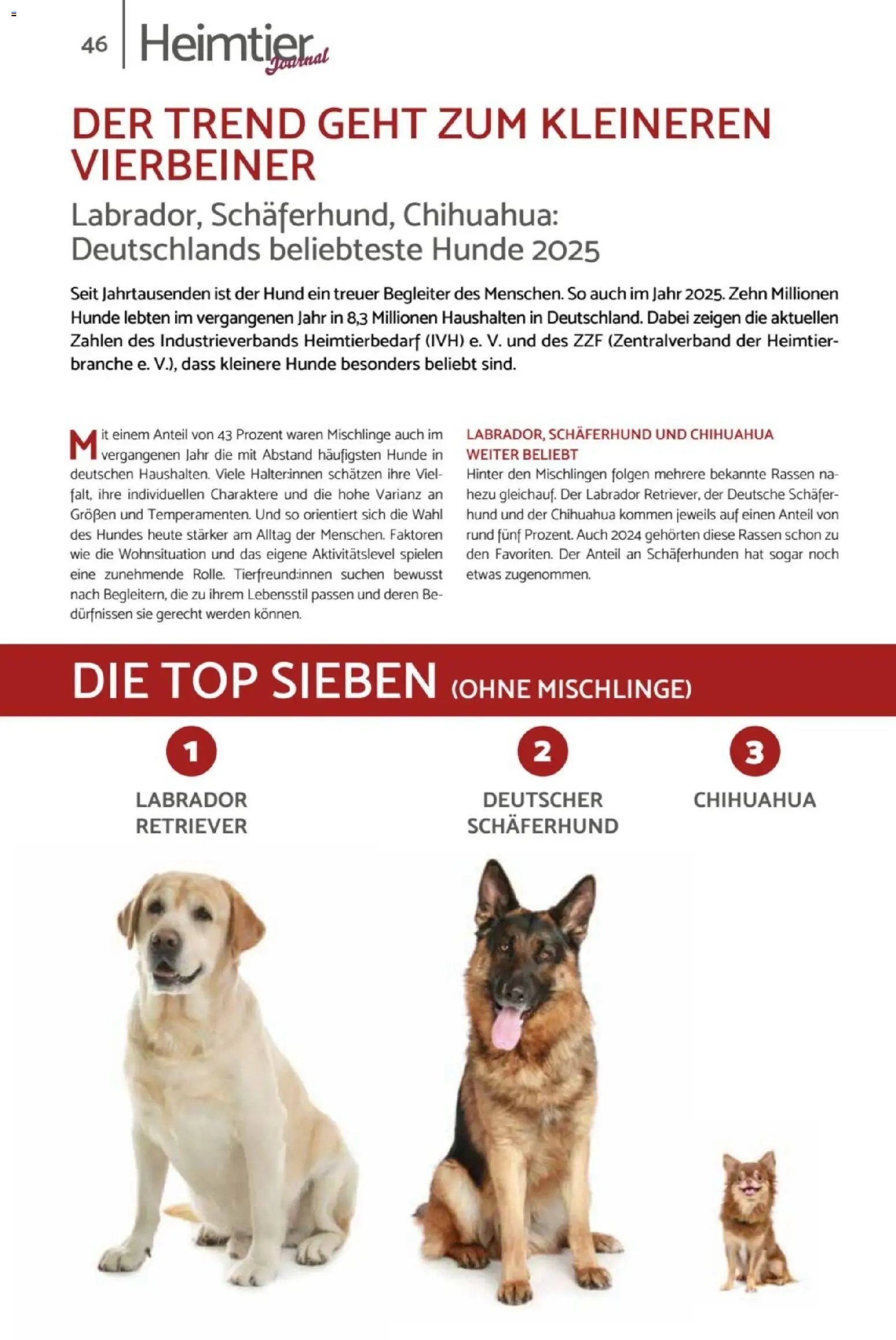 zookauf Heimtier Journal