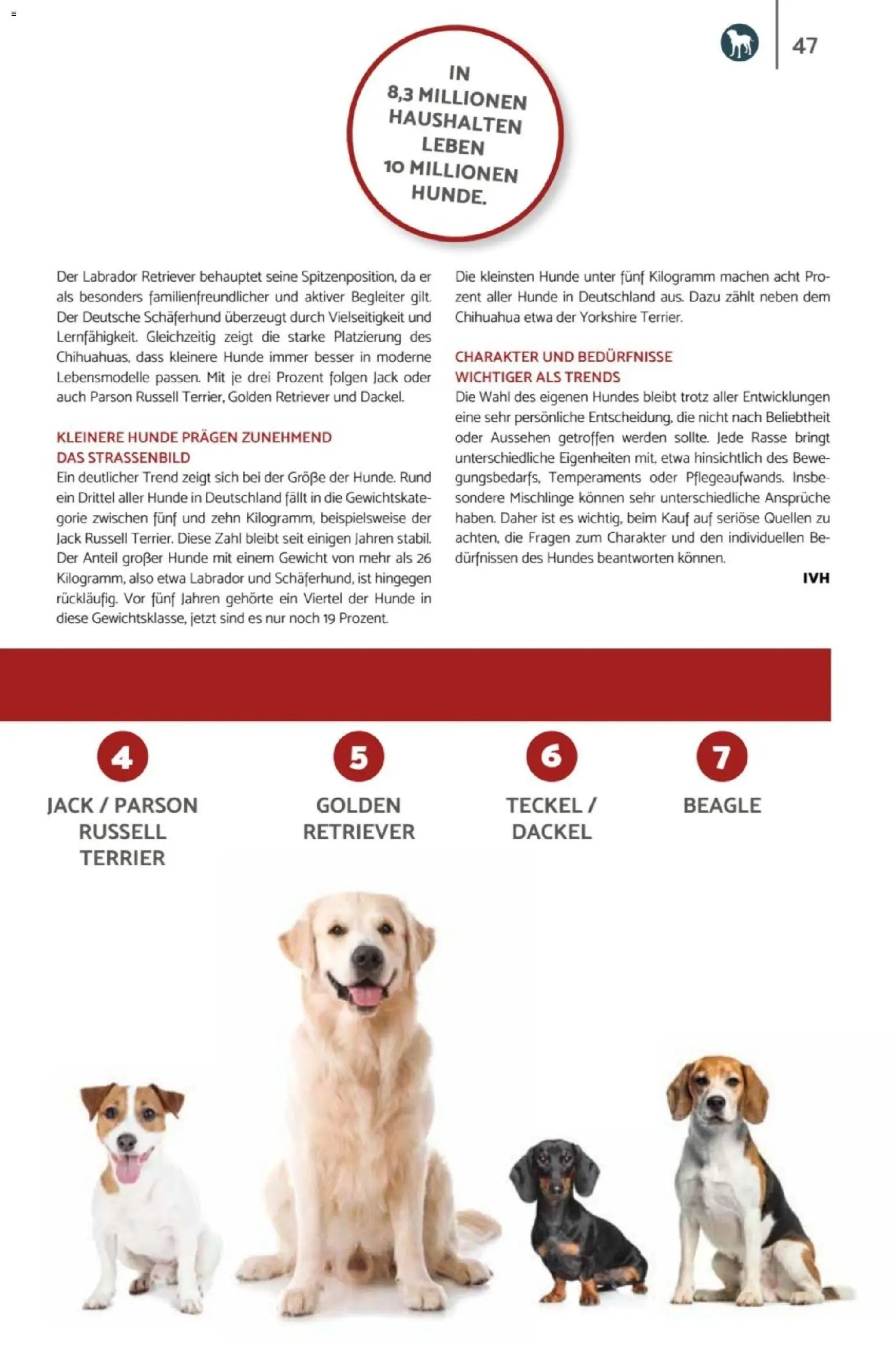 zookauf Heimtier Journal
