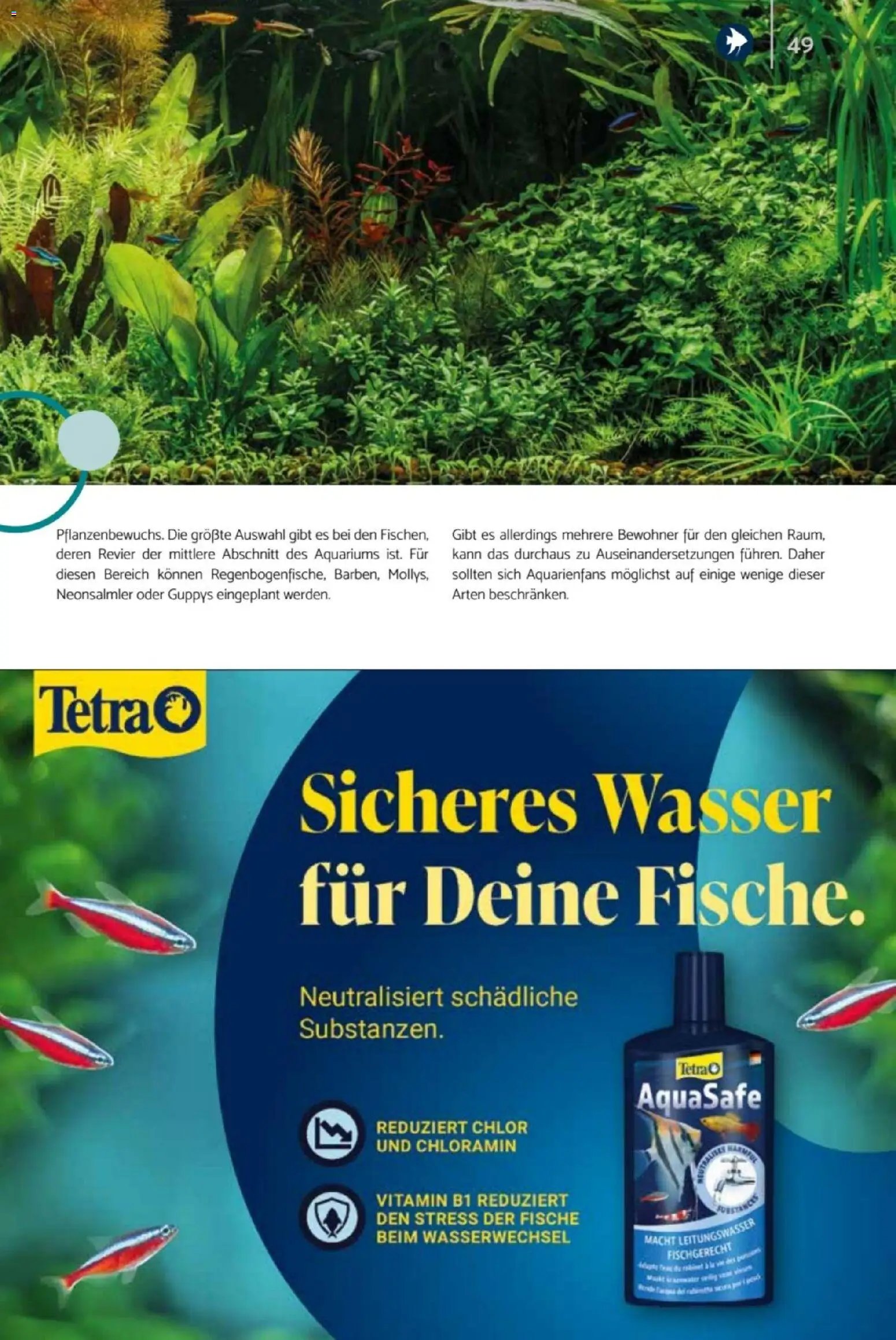 zookauf Heimtier Journal
