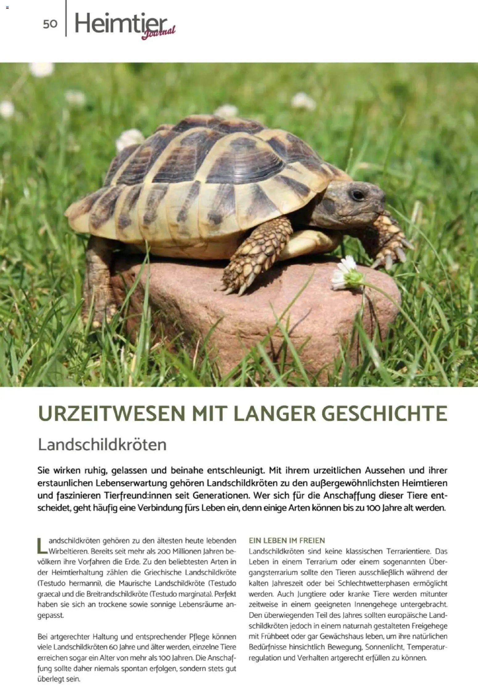 zookauf Heimtier Journal