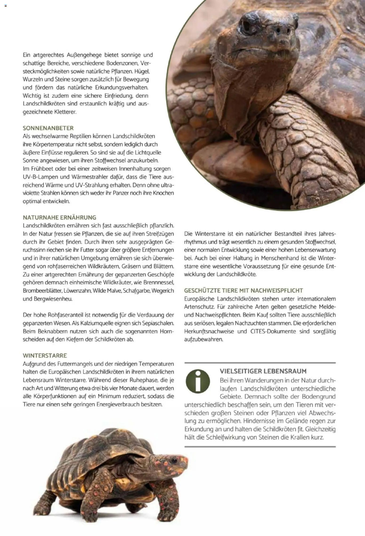 zookauf Heimtier Journal