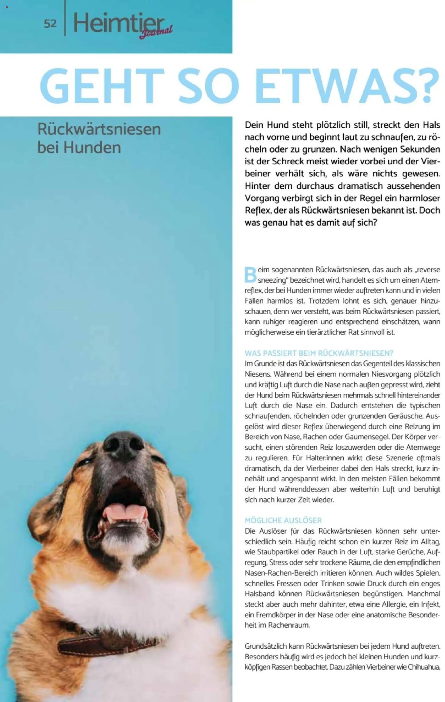 zookauf Heimtier Journal