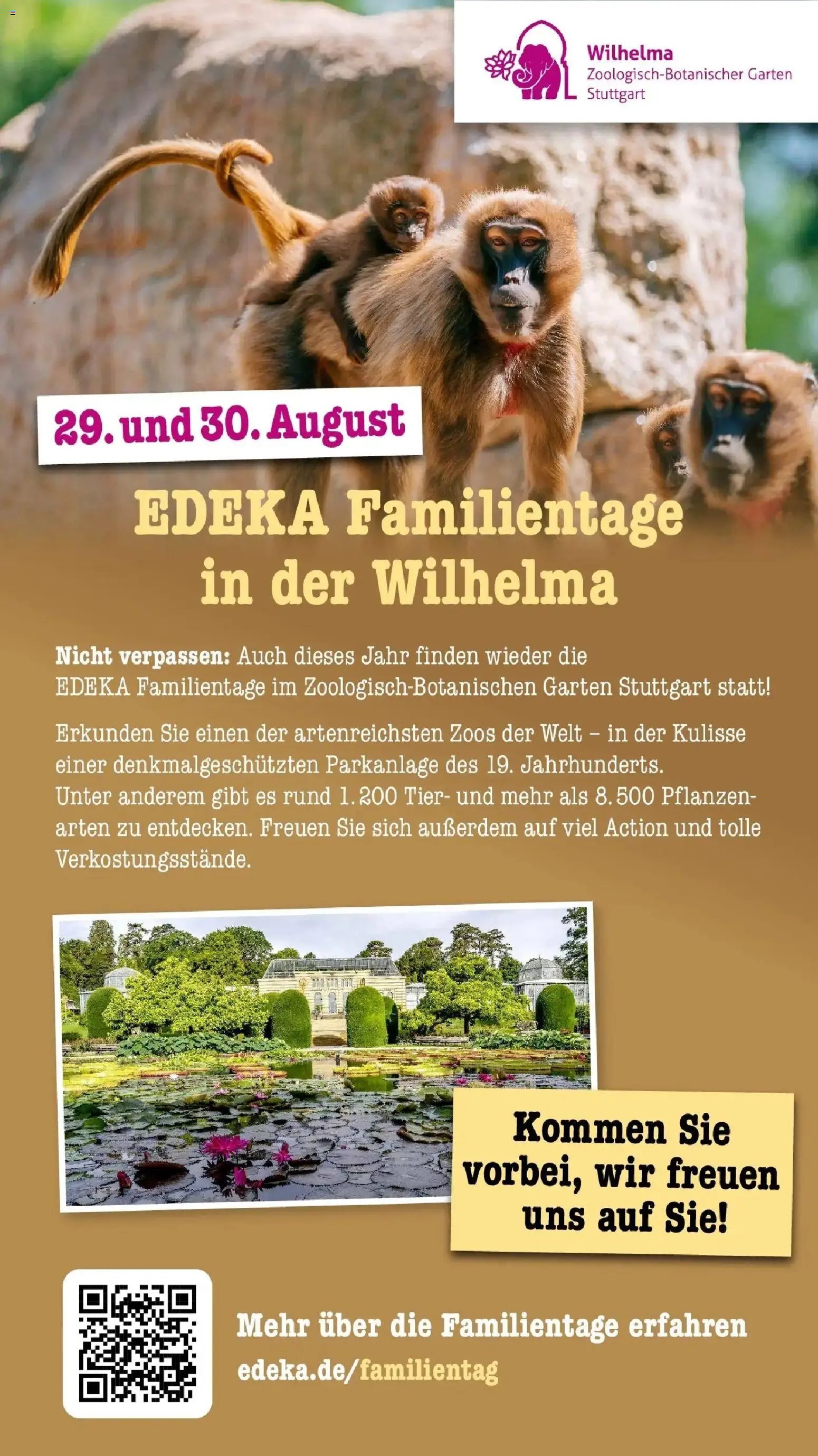 Edeka Prospekt Offenbach