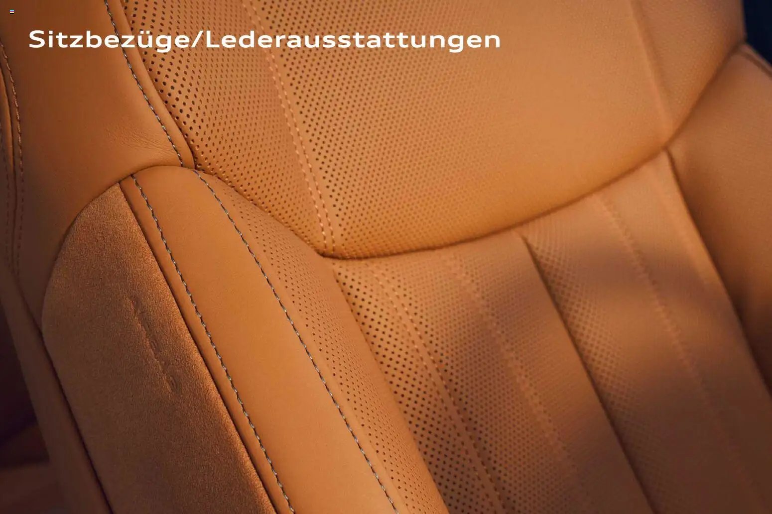 Audi A8 (2025-10-28 - 2026-10-28)