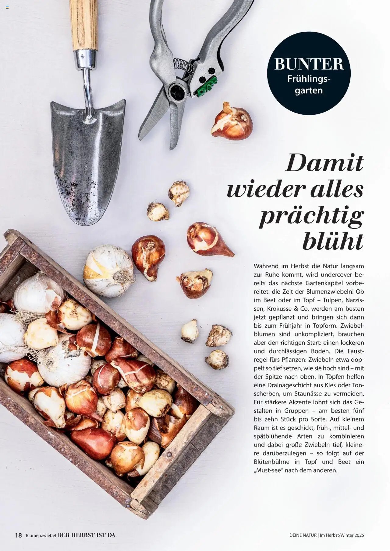 Dehner Prospekt Deine Natur (2025-10-09 - 2025-12-31)