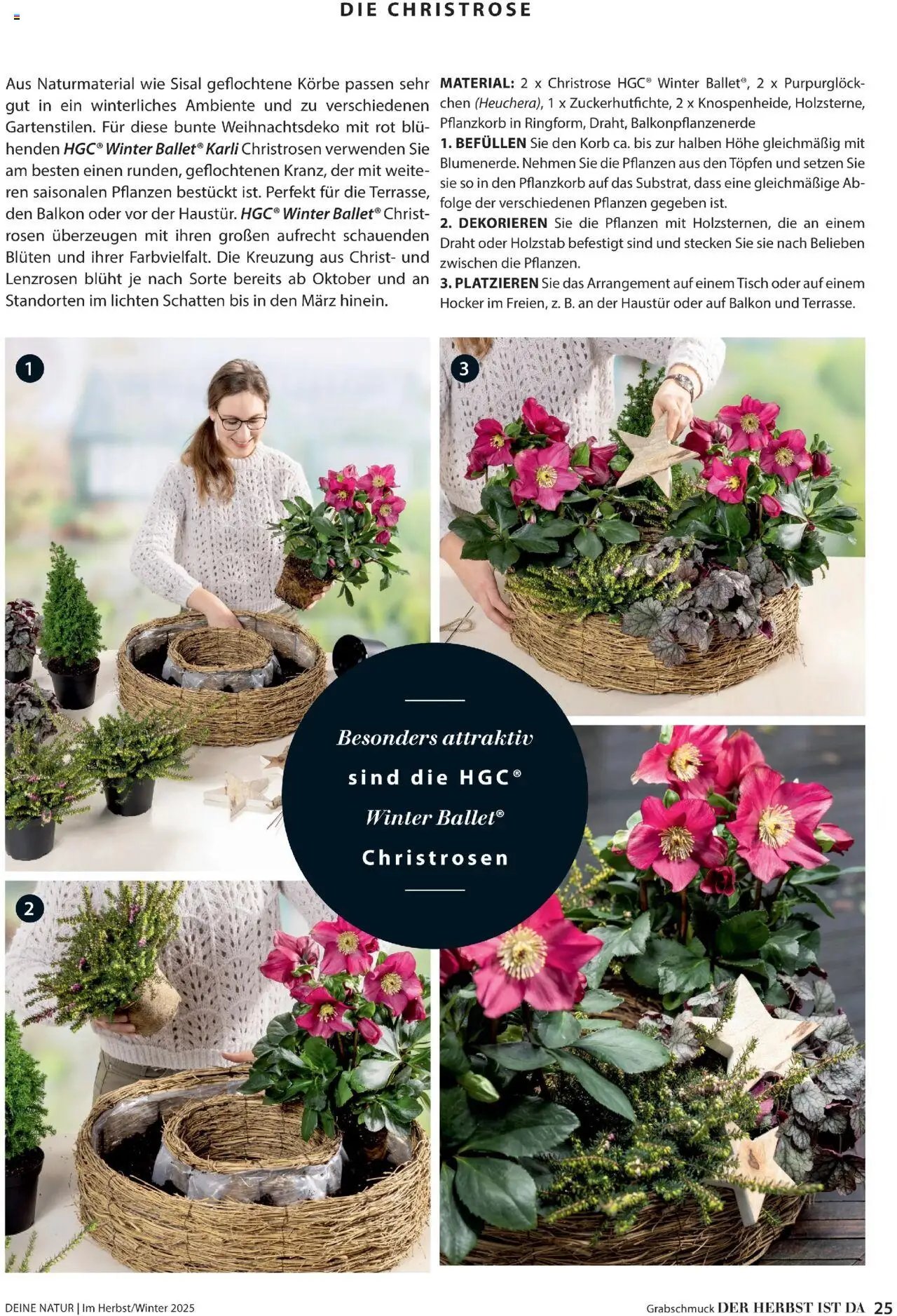 Dehner Prospekt Deine Natur (2025-10-09 - 2025-12-31)