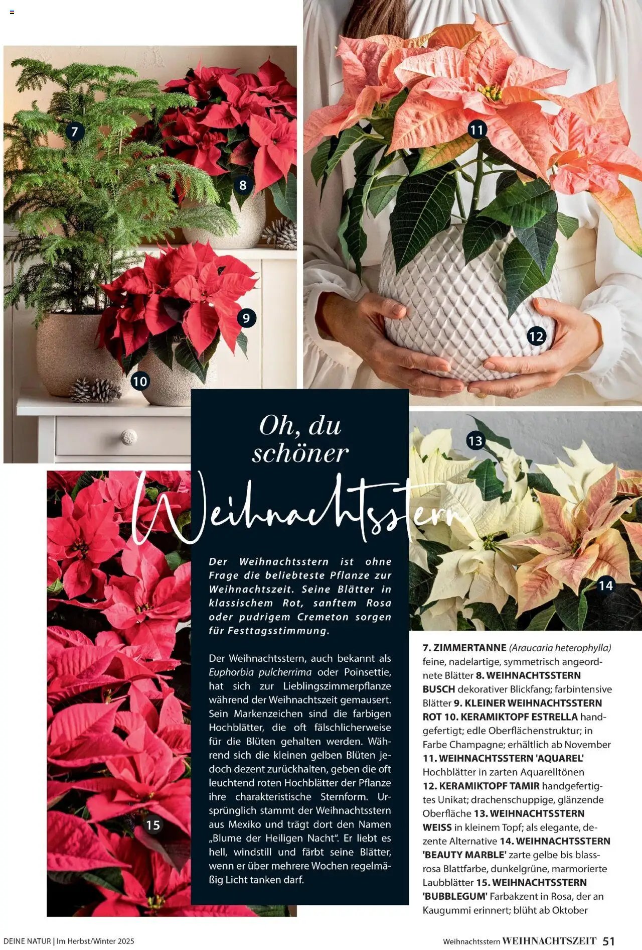 Dehner Prospekt Deine Natur (2025-10-09 - 2025-12-31)