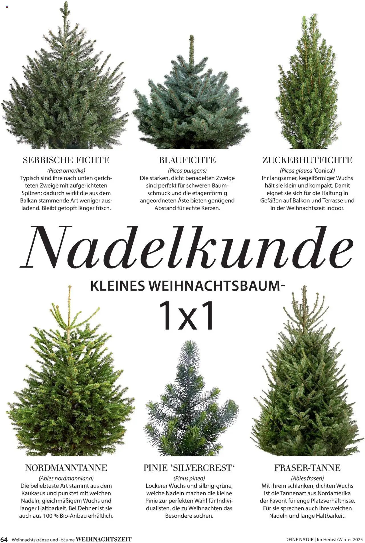 Dehner Prospekt Deine Natur (2025-10-09 - 2025-12-31)