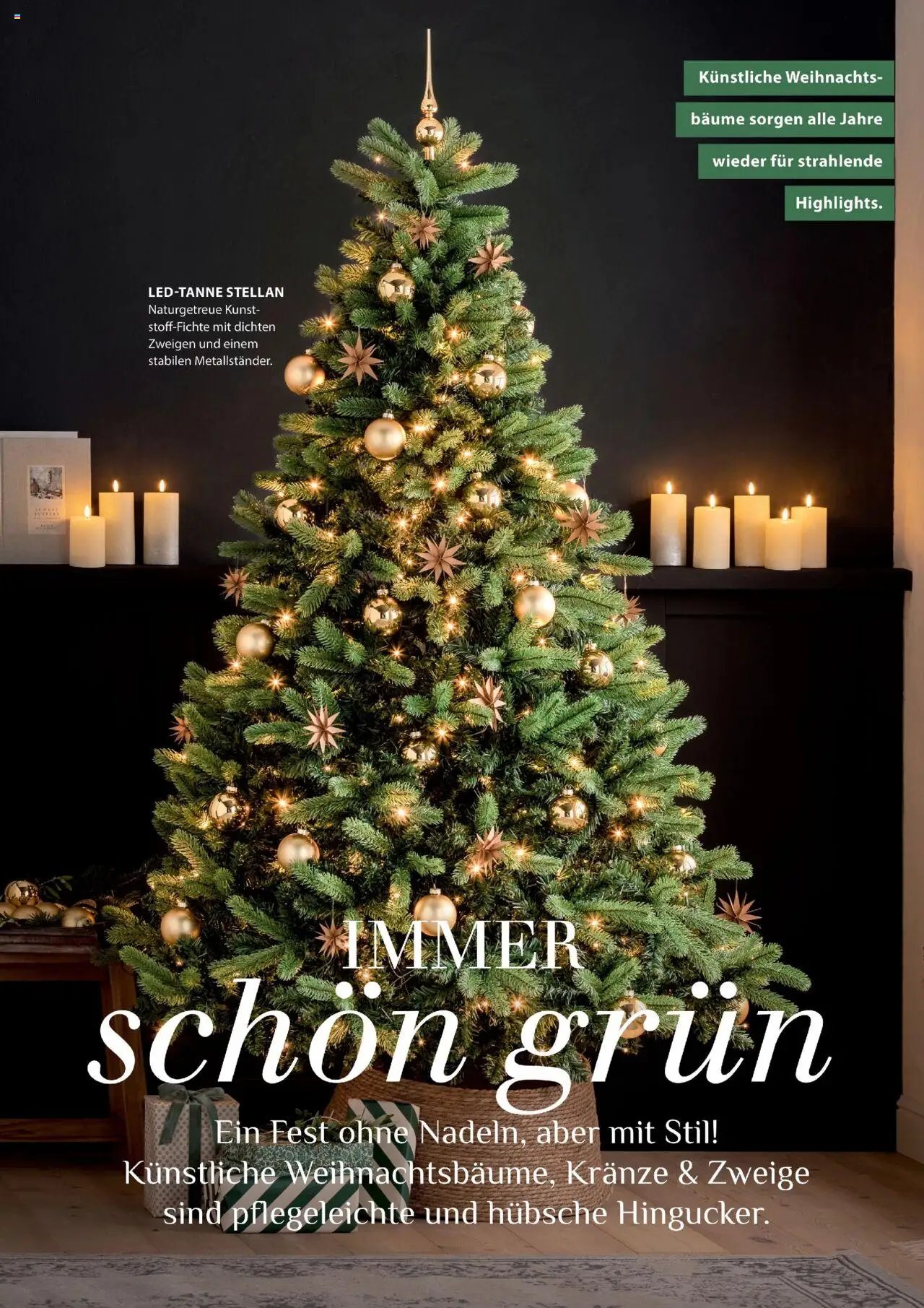 Dehner Prospekt Deine Natur (2025-10-09 - 2025-12-31)