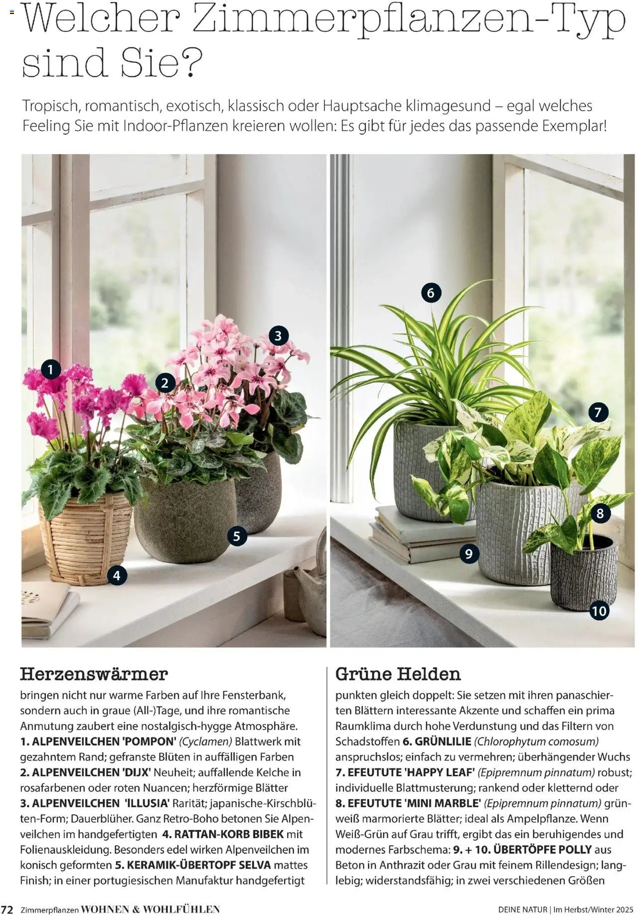 Dehner Prospekt Deine Natur (2025-10-09 - 2025-12-31)