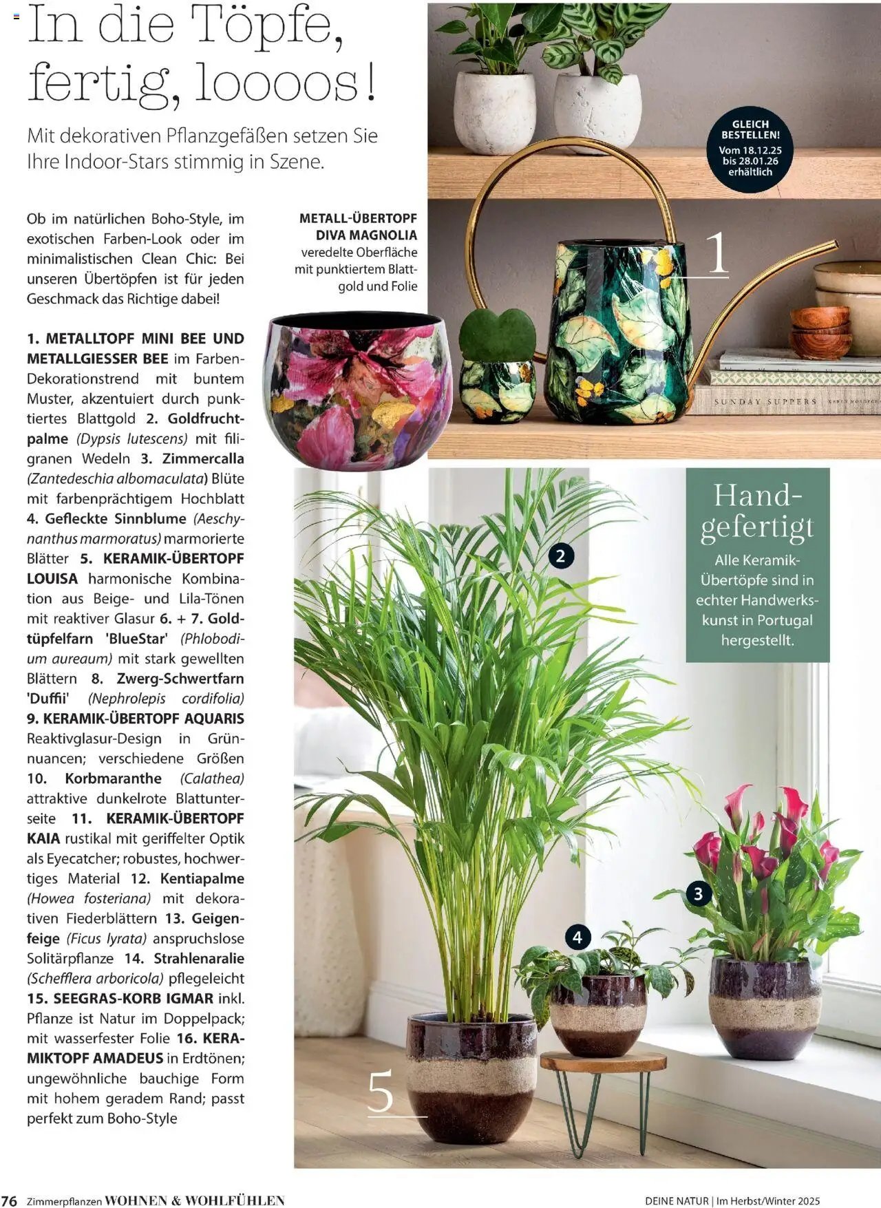 Dehner Prospekt Deine Natur (2025-10-09 - 2025-12-31)