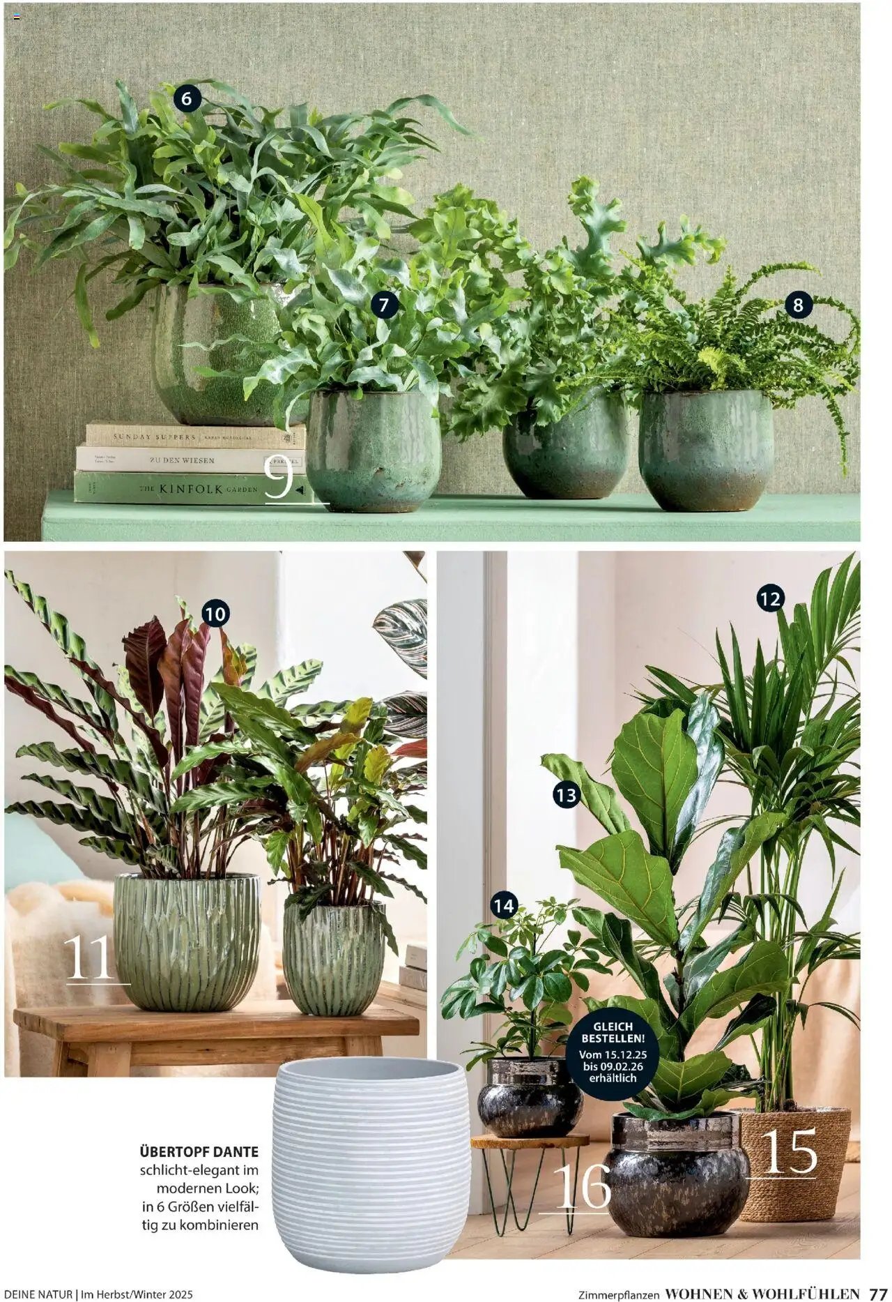 Dehner Prospekt Deine Natur (2025-10-09 - 2025-12-31)