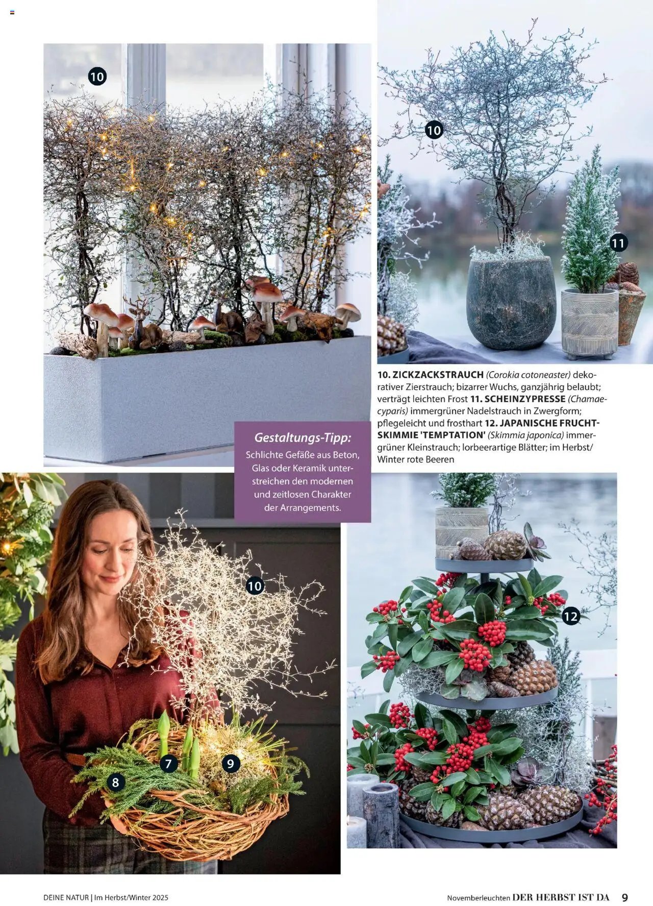 Dehner Prospekt Deine Natur (2025-10-09 - 2025-12-31)