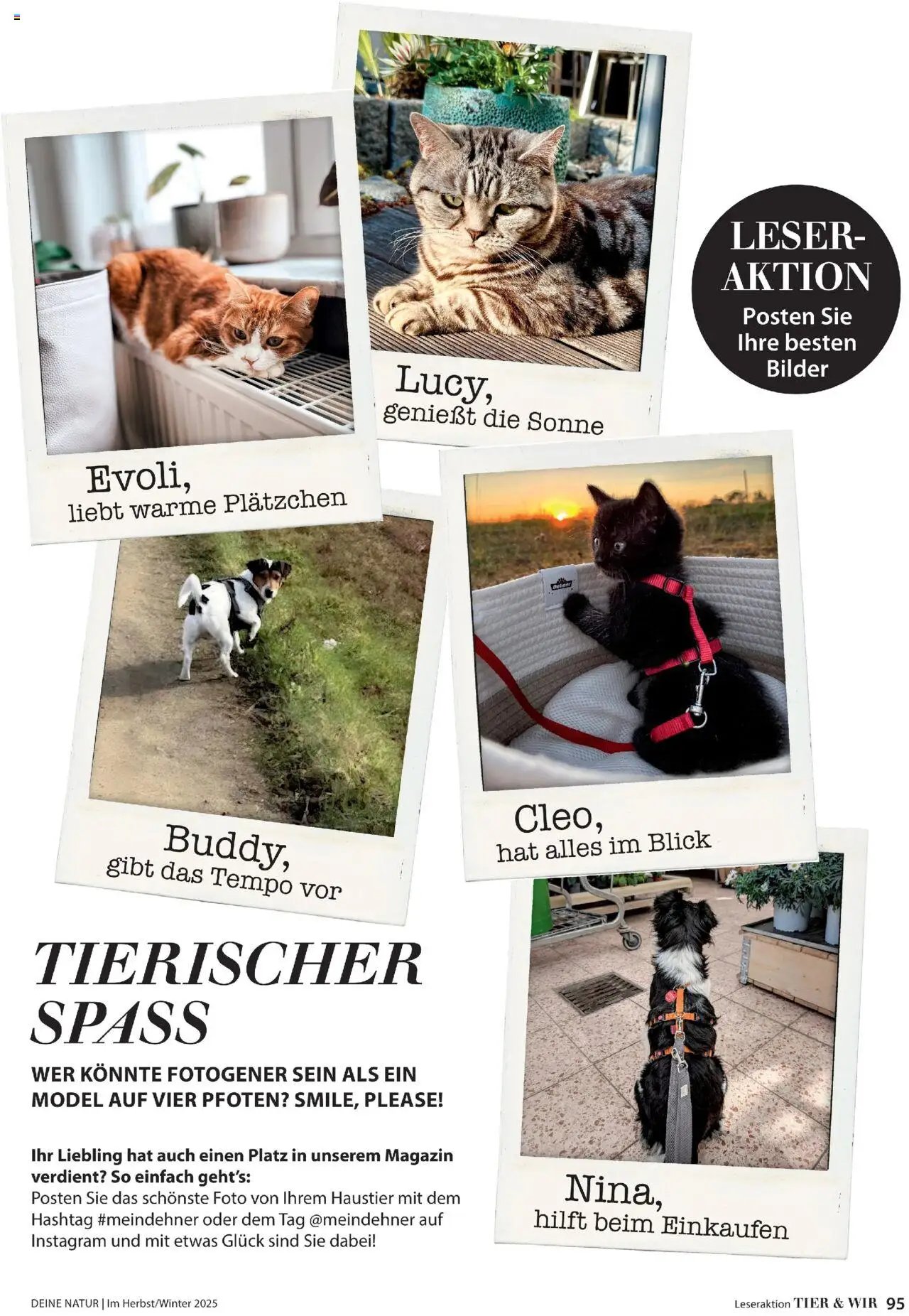 Dehner Prospekt Deine Natur (2025-10-09 - 2025-12-31)