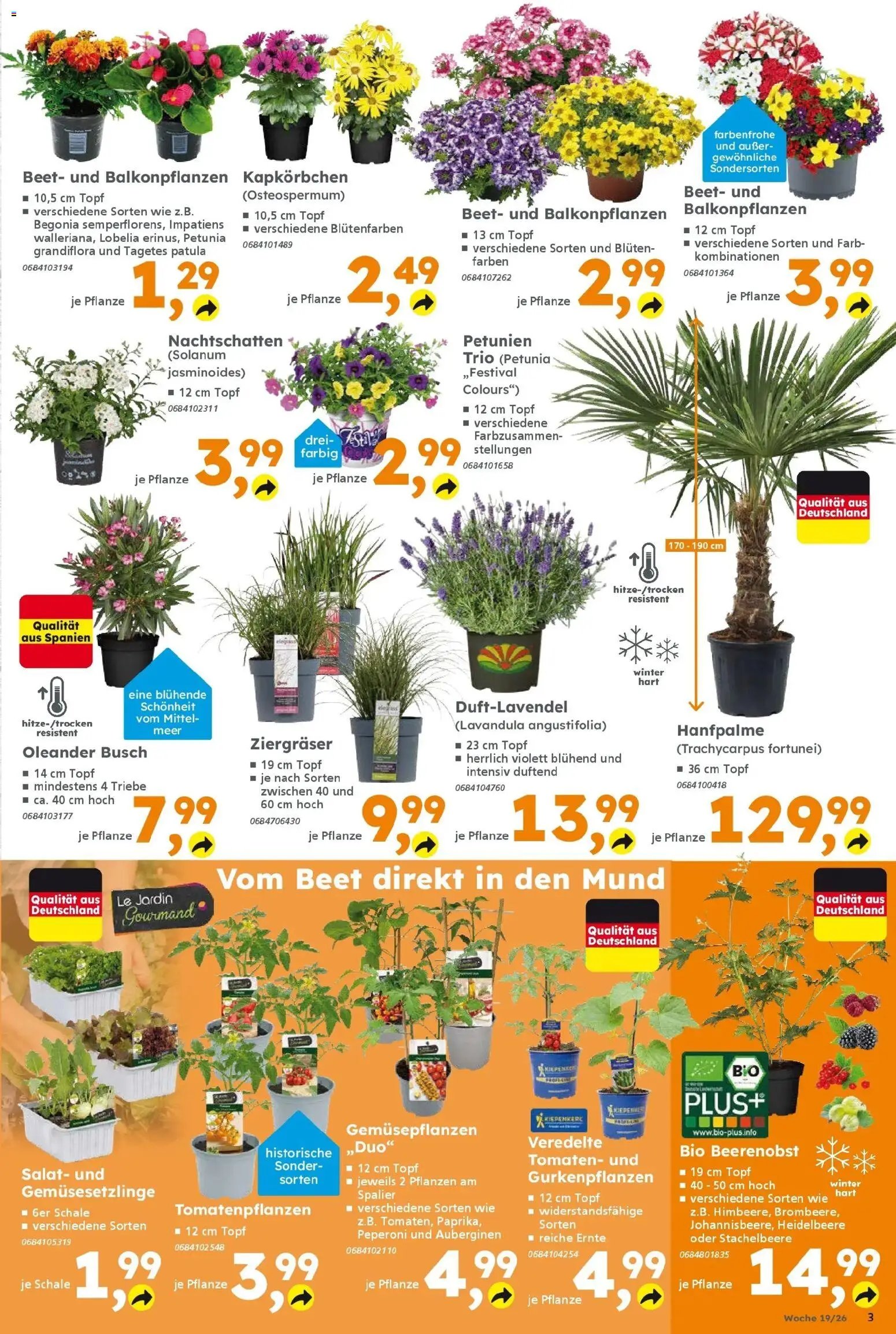 Globus Baumarkt Prospekt Friedberg	