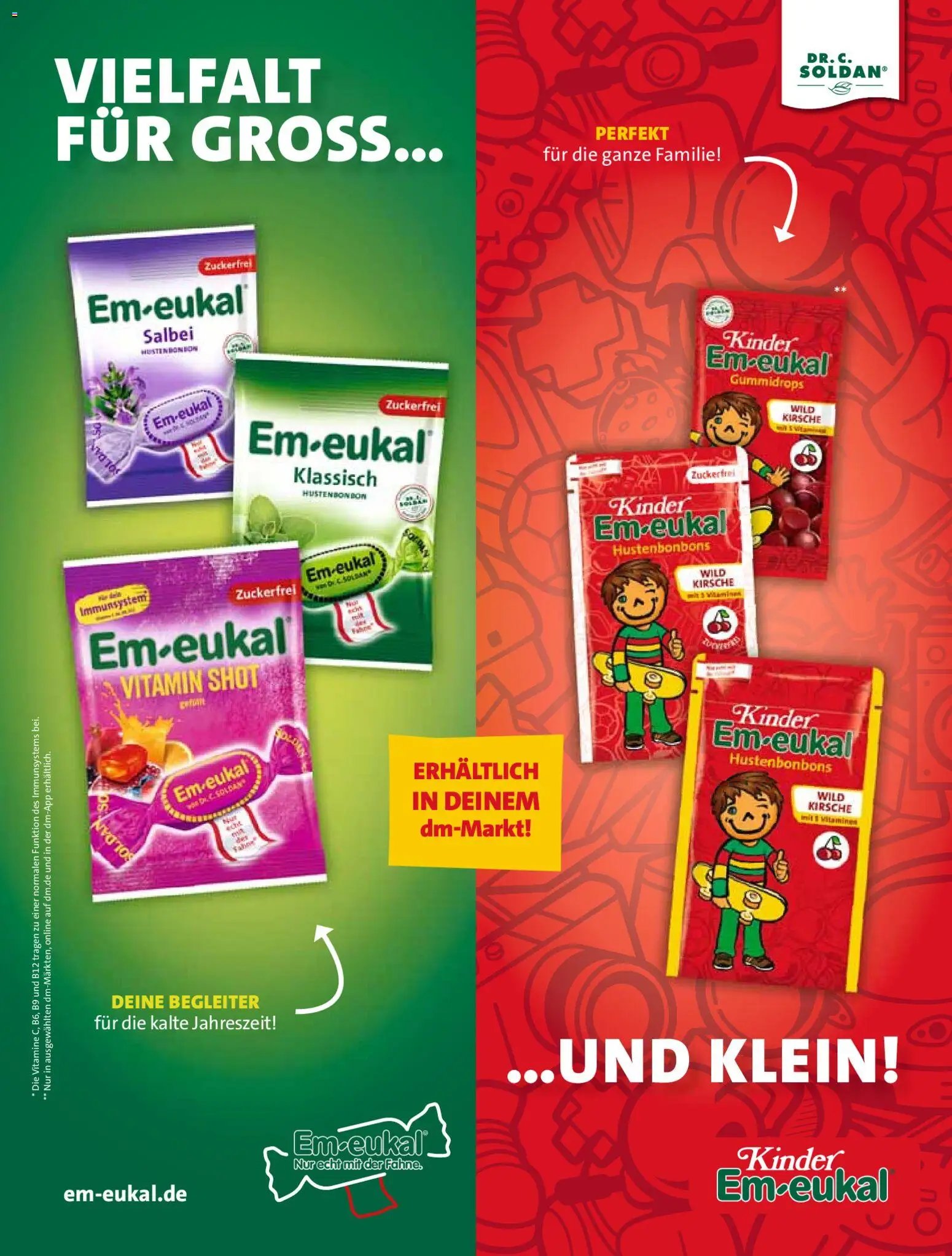 dm drogerie Prospekt 	 (2025-11-01 - 2025-11-30)