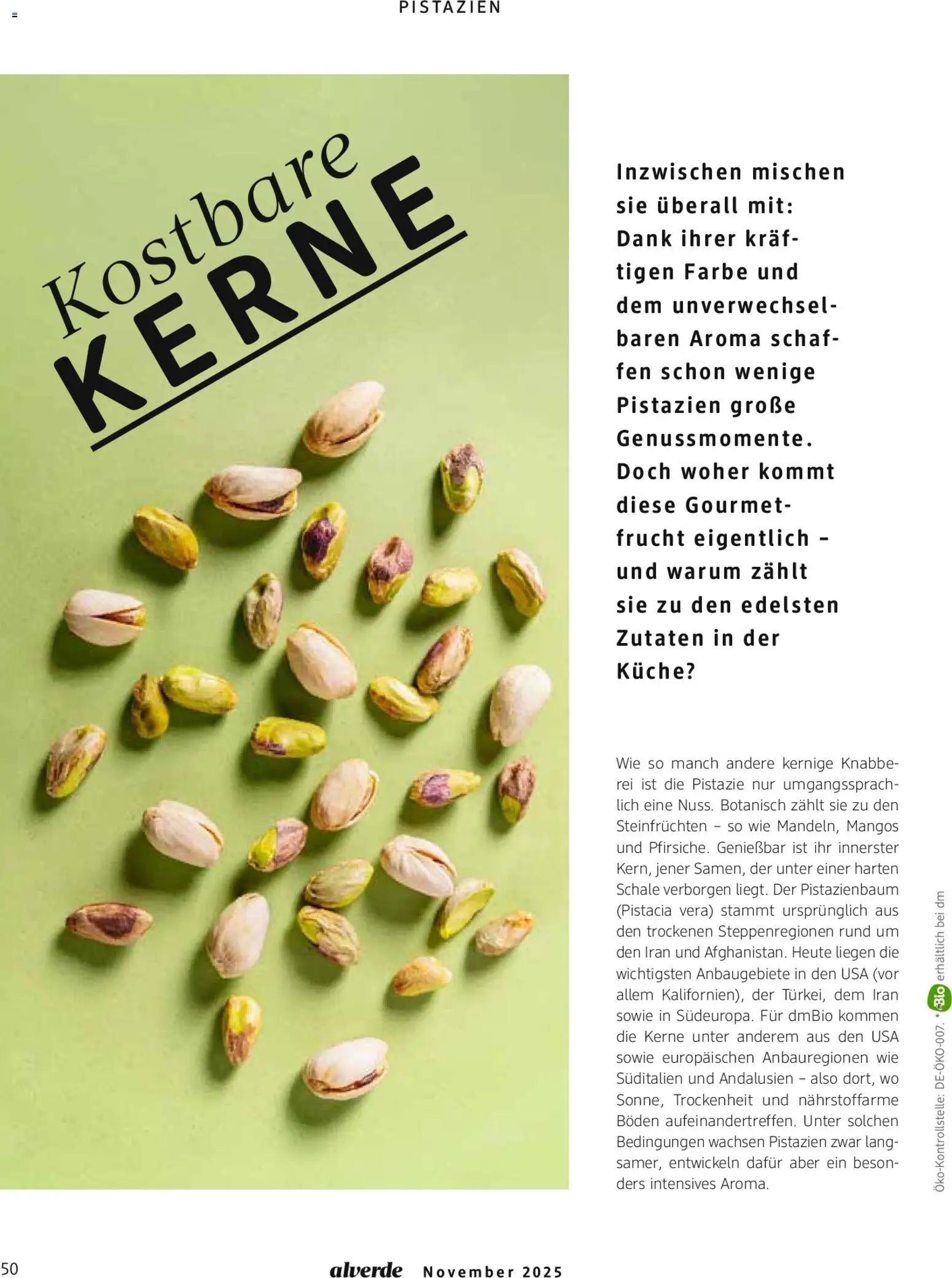 dm drogerie Prospekt 	 (2025-11-01 - 2025-11-30)