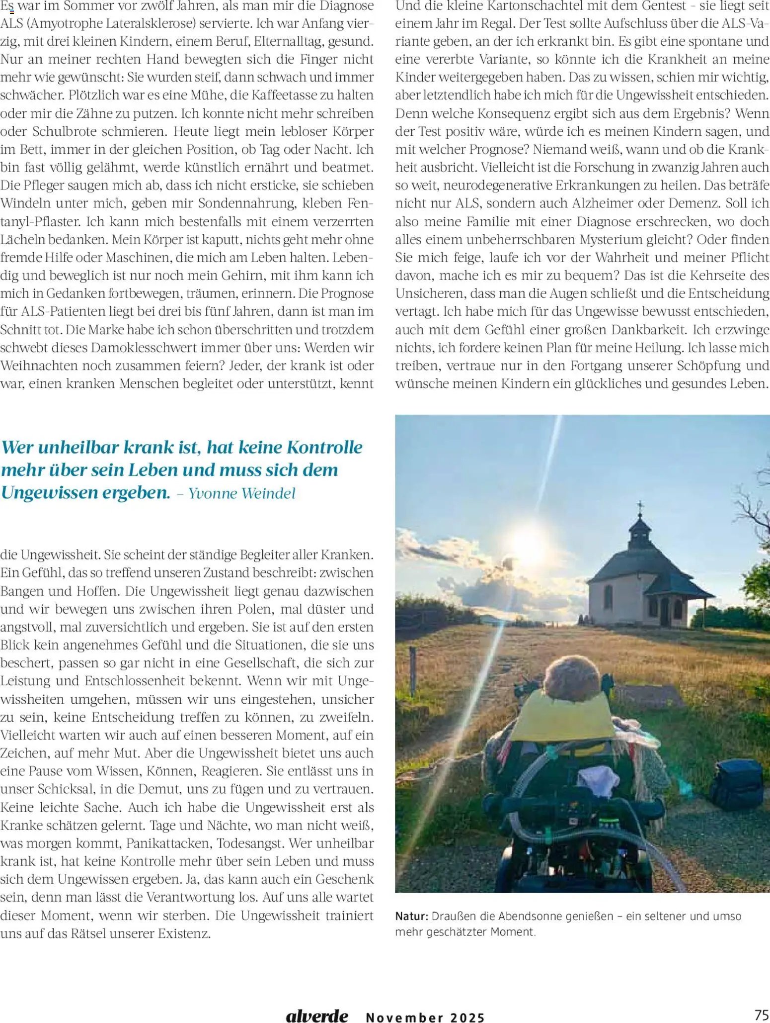 dm drogerie Prospekt 	 (2025-11-01 - 2025-11-30)