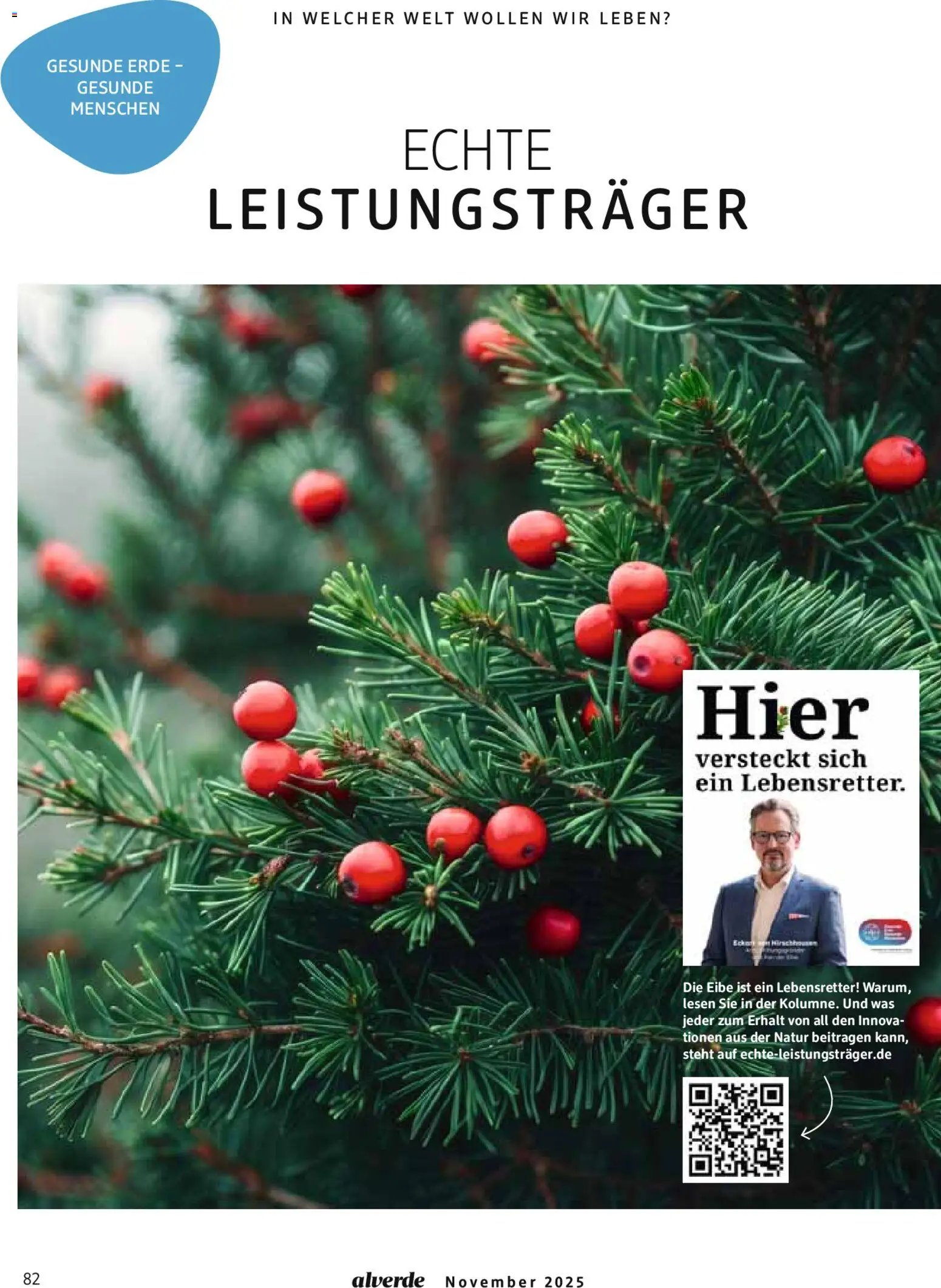 dm drogerie Prospekt 	 (2025-11-01 - 2025-11-30)