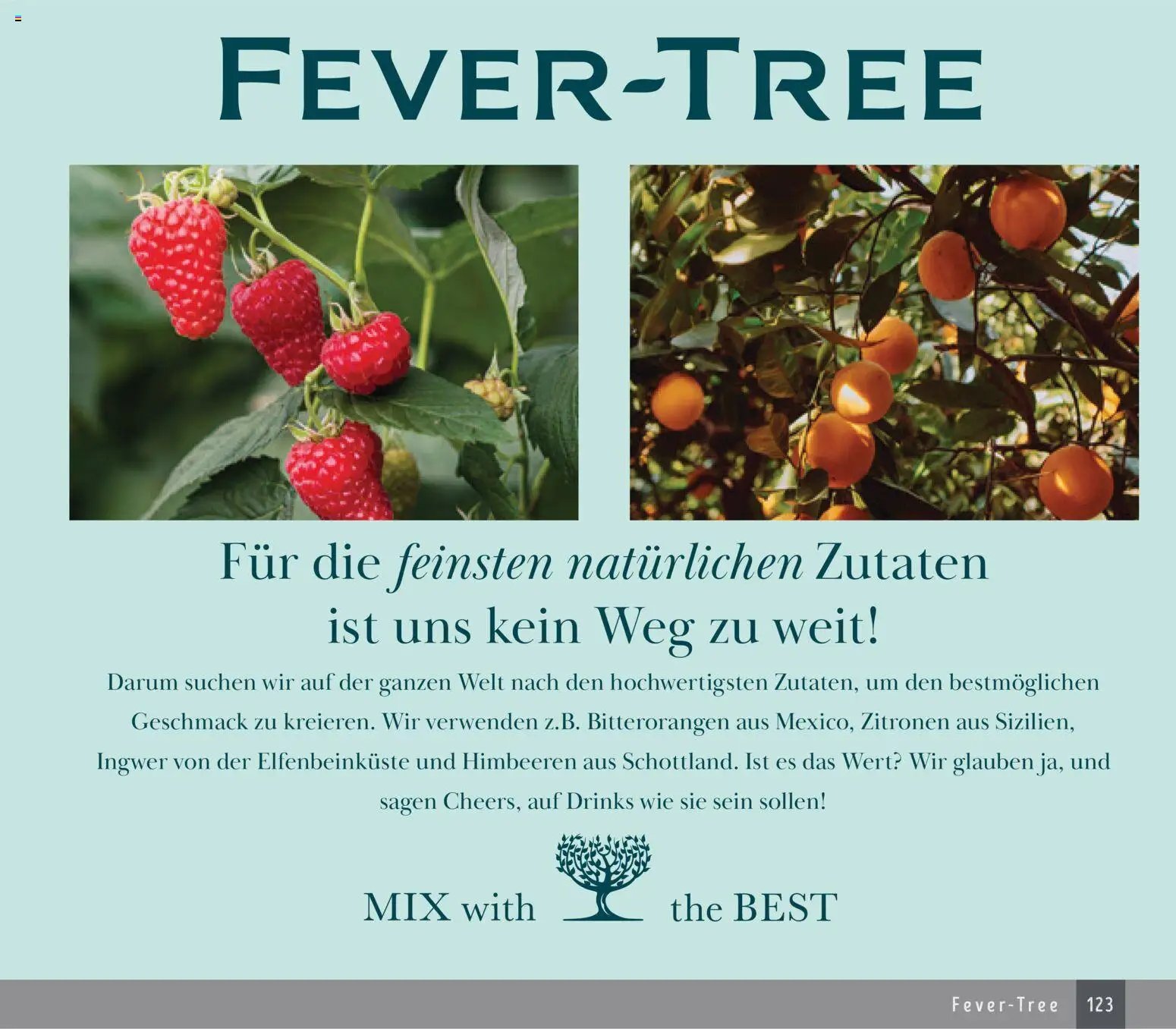 Edeka Struve Wein– und Spirituosen (2025-11-14 - 2026-03-31)