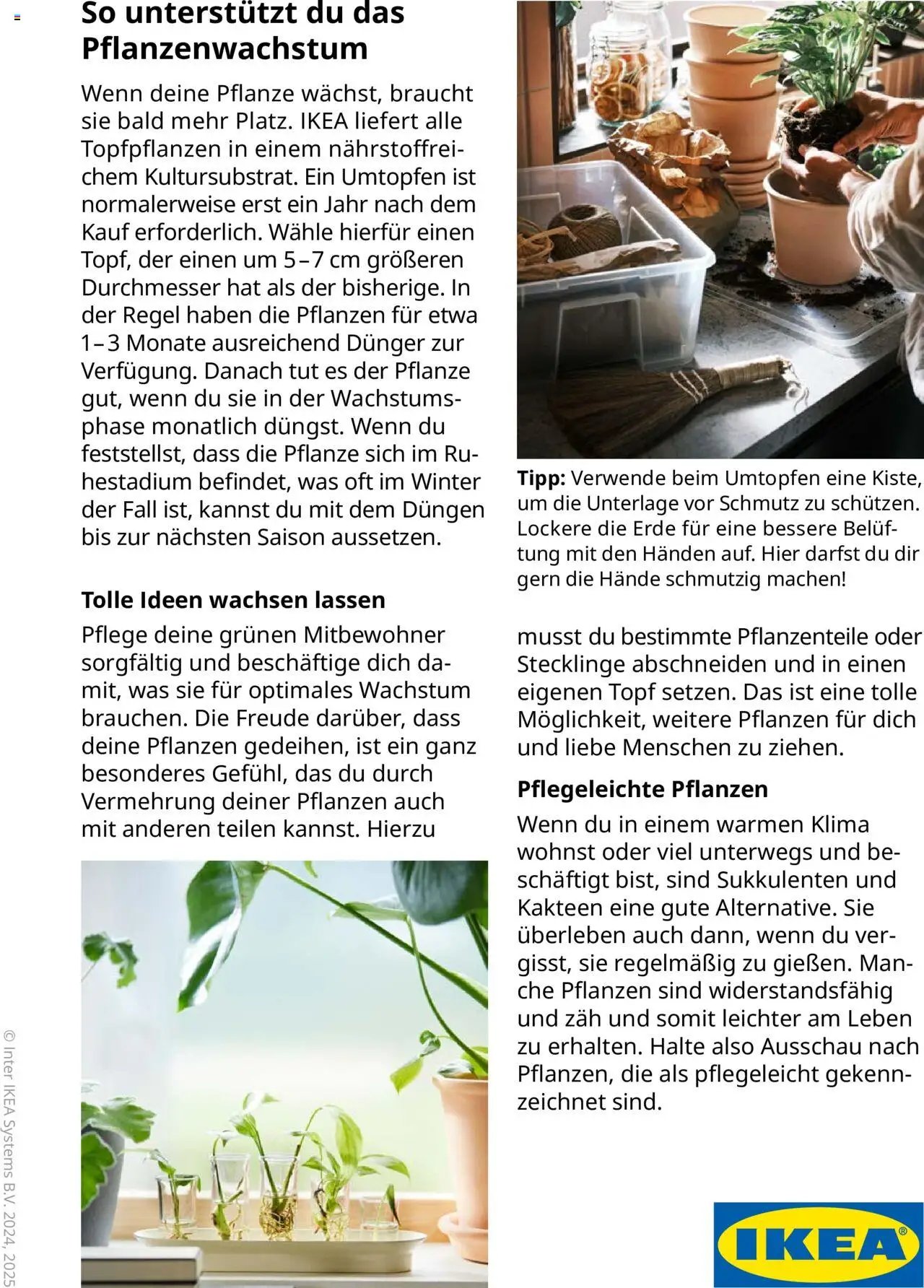Ikea Pflanzen Broschüre