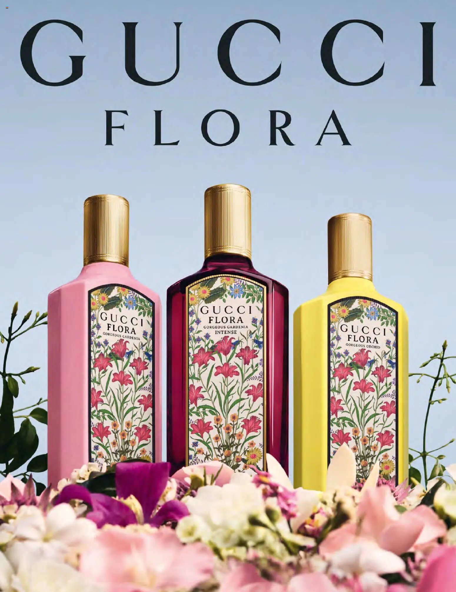 Müller - Lifestyle (2026-01-01 - 2026-02-28)