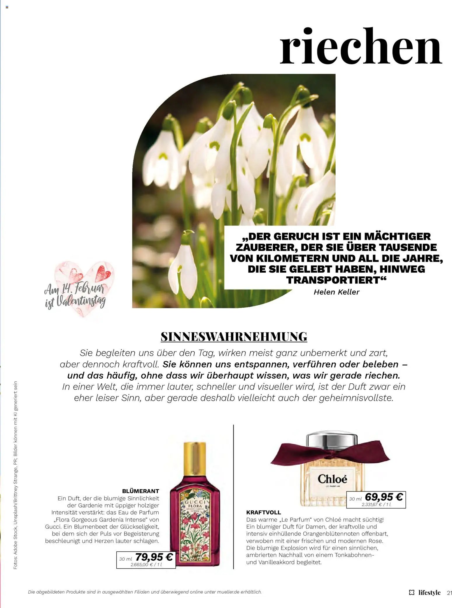 Müller - Lifestyle (2026-01-01 - 2026-02-28)