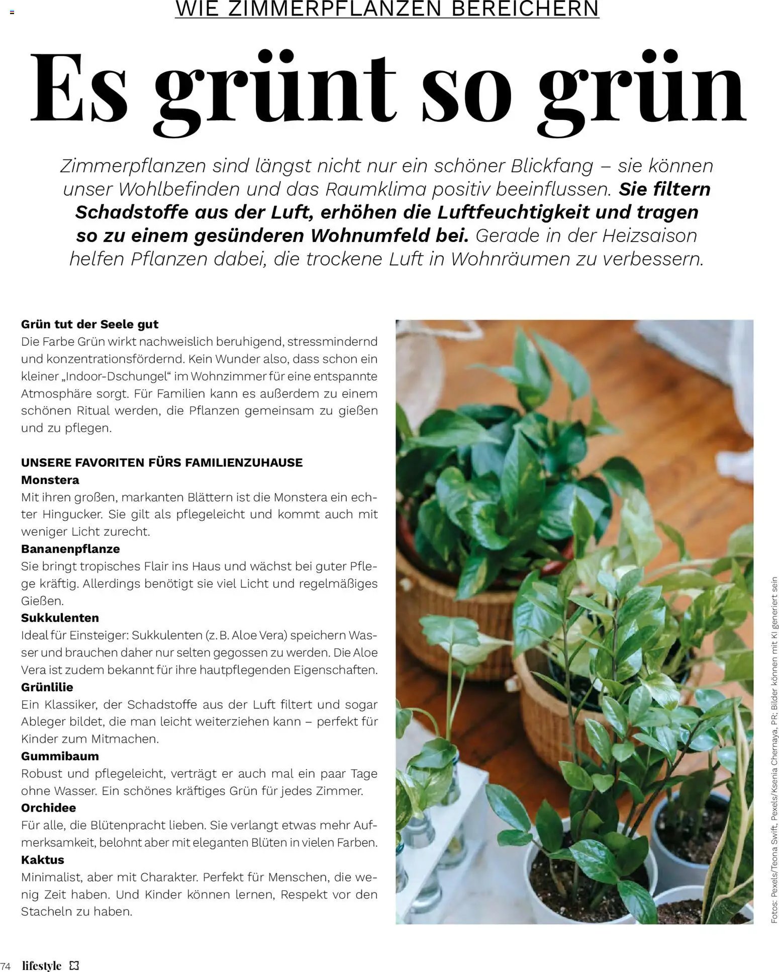 Müller - Lifestyle (2026-01-01 - 2026-02-28)