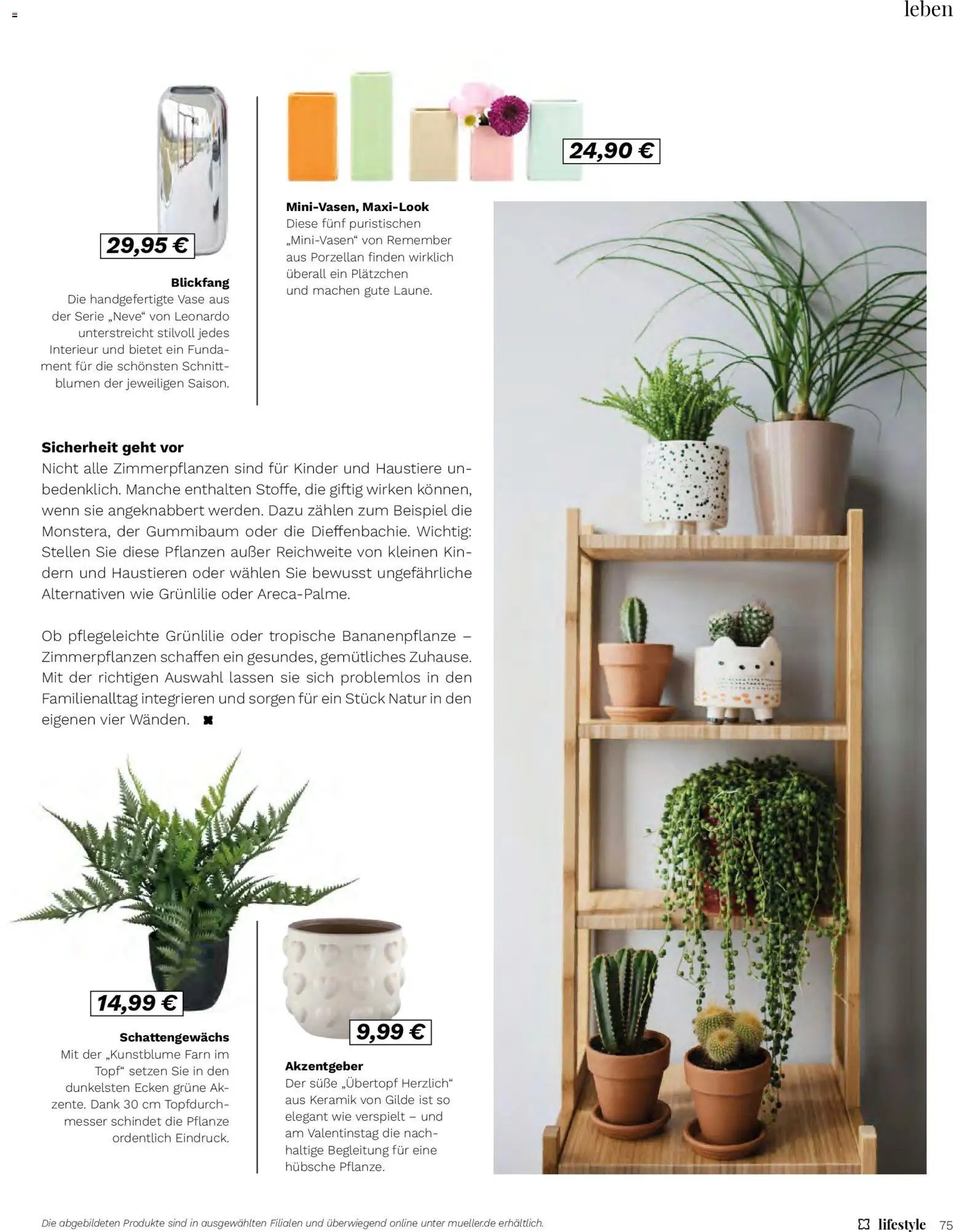 Müller - Lifestyle (2026-01-01 - 2026-02-28)