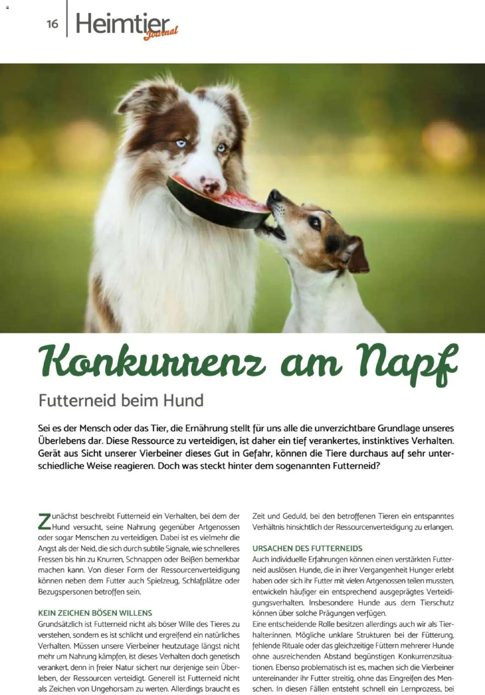 zookauf Heimtier Journal