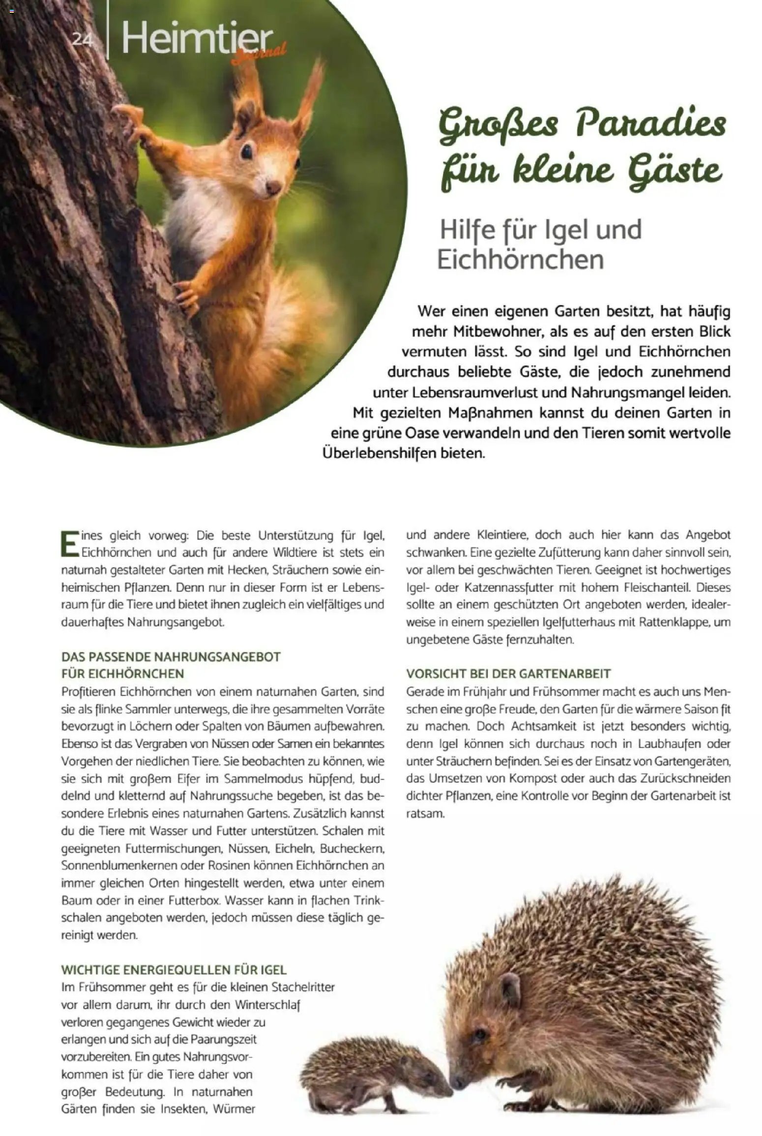 zookauf Heimtier Journal