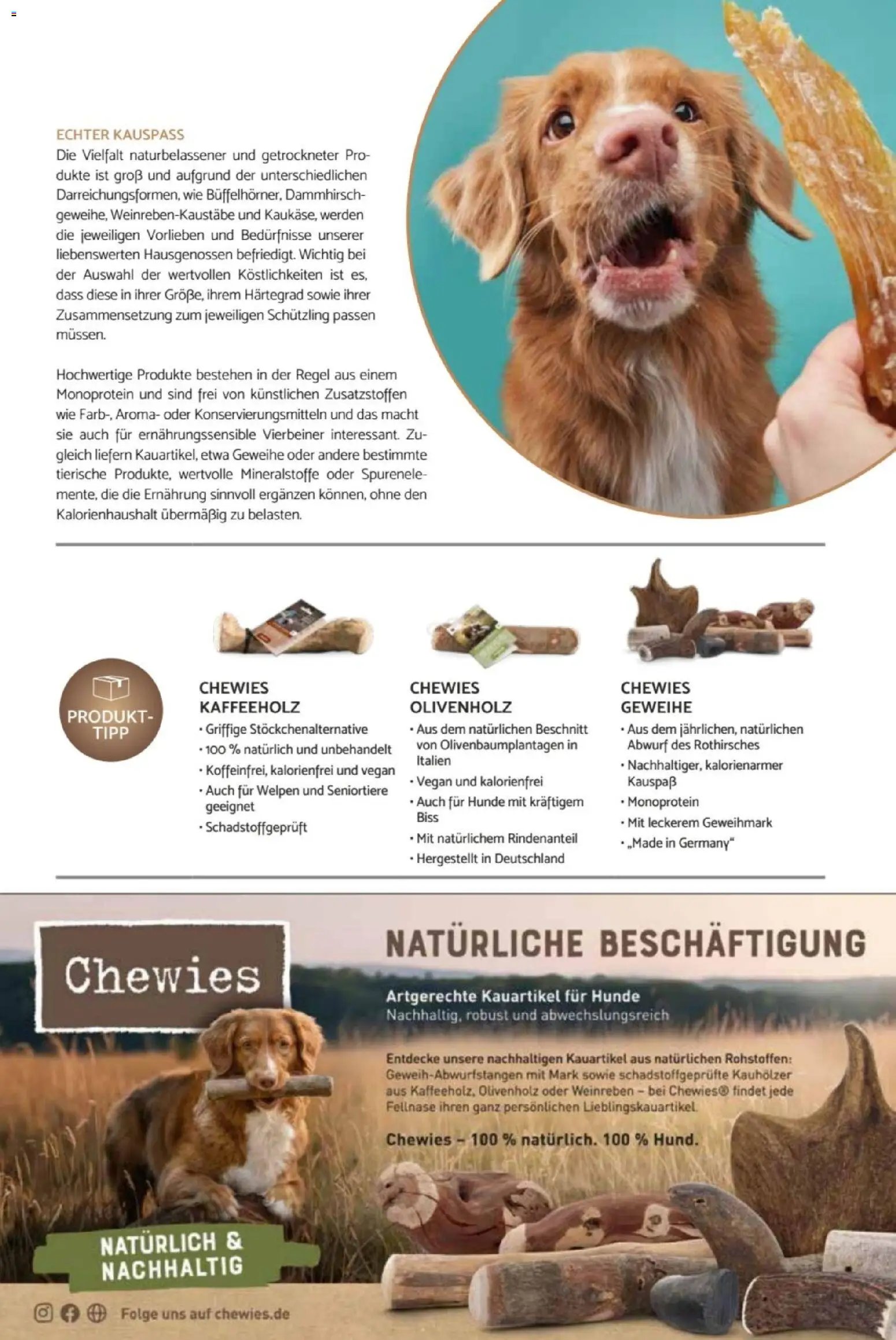 zookauf Heimtier Journal