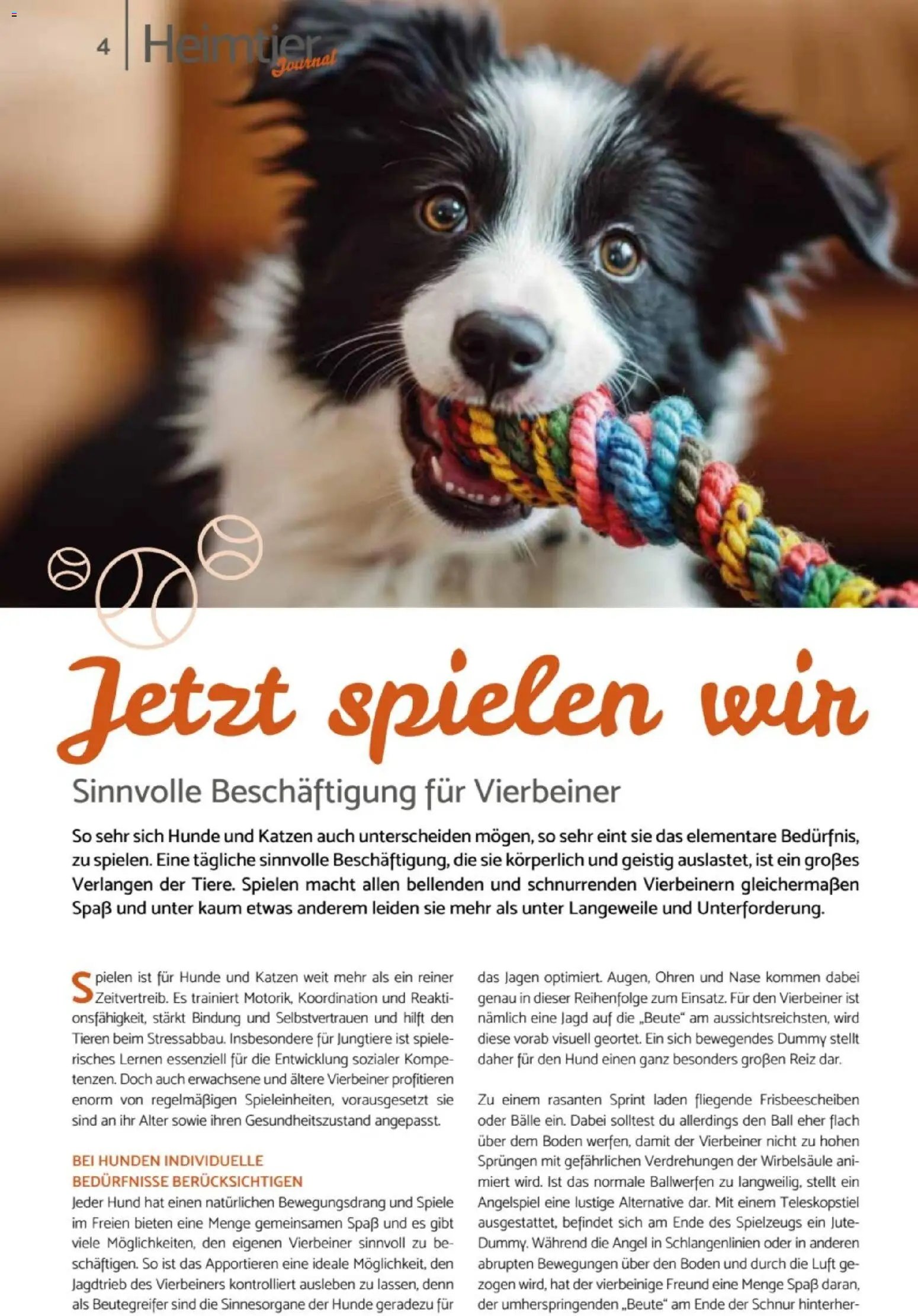zookauf Heimtier Journal