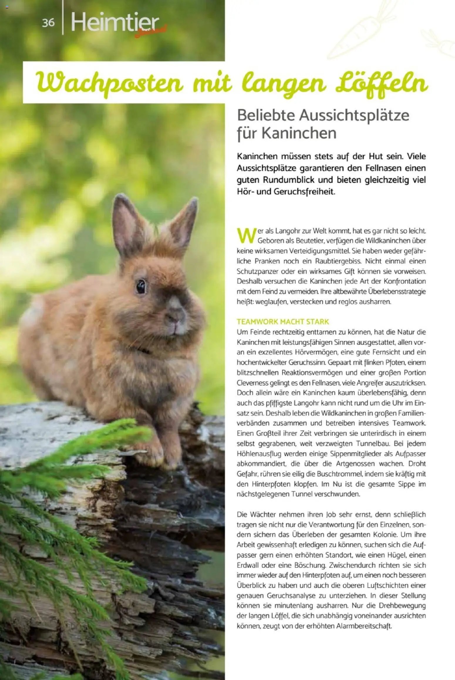 zookauf Heimtier Journal