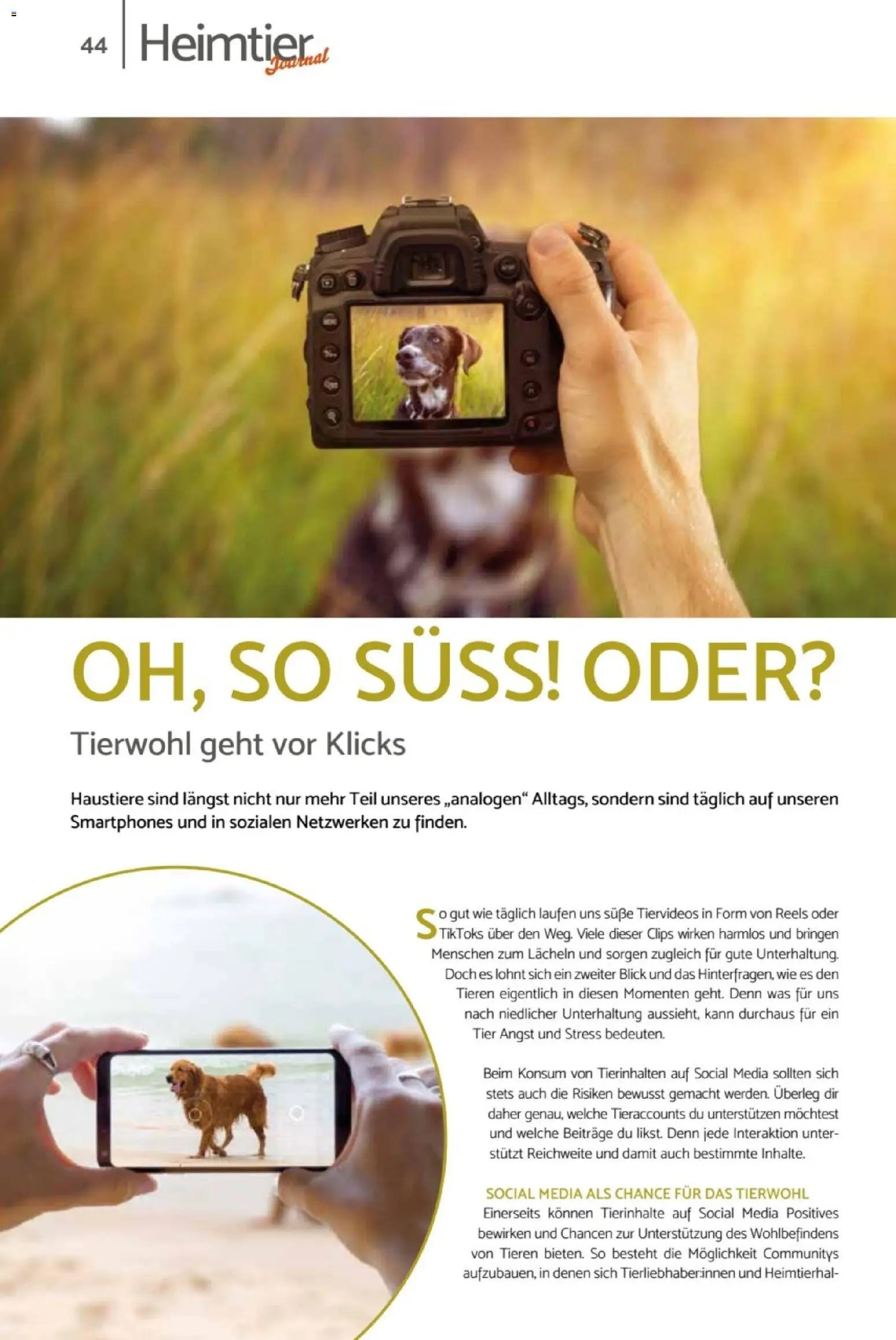 zookauf Heimtier Journal