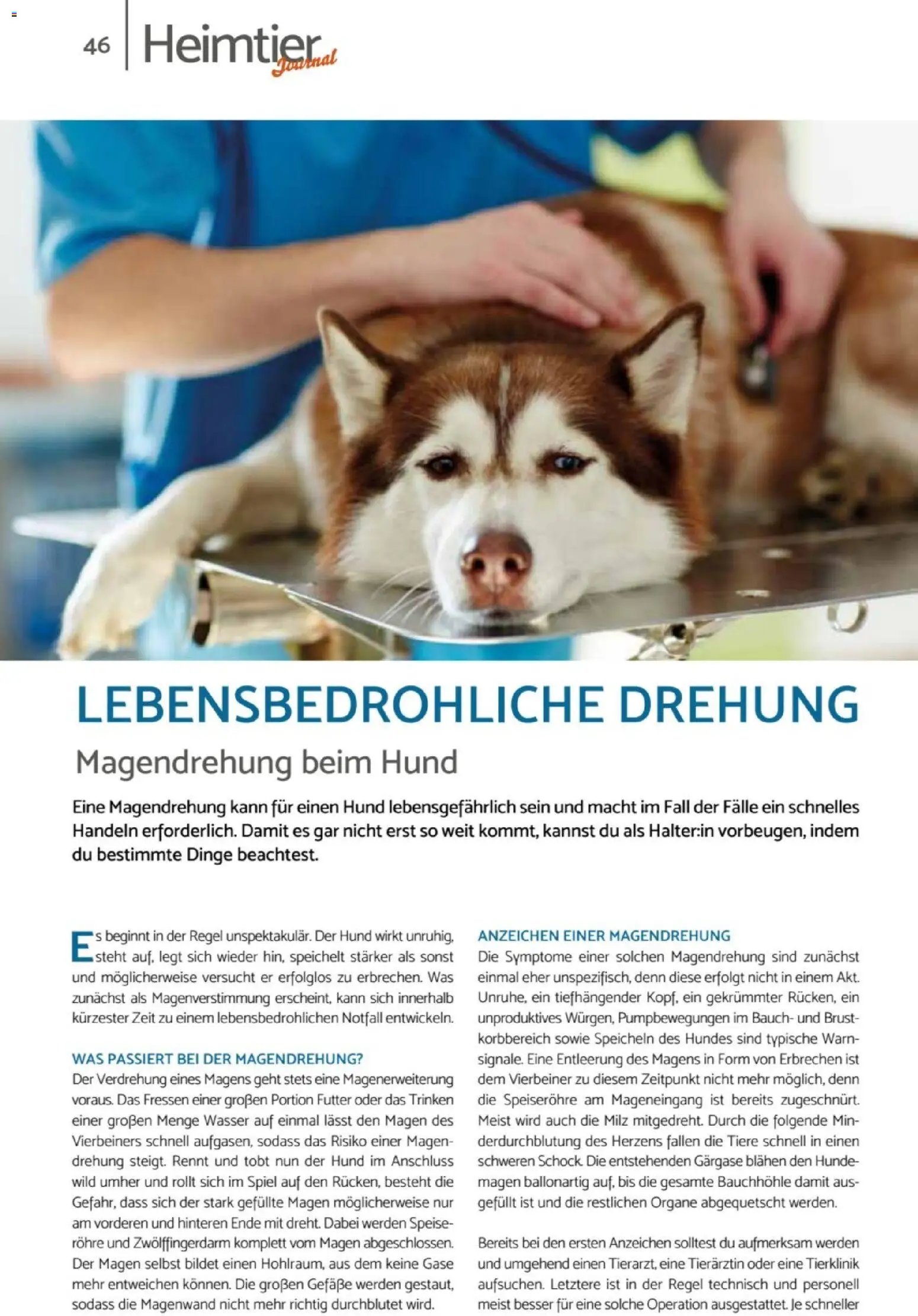 zookauf Heimtier Journal